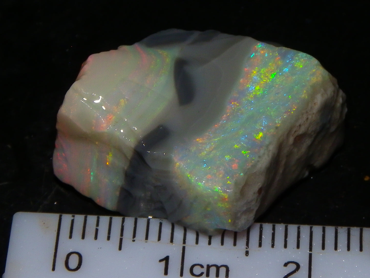 Quality Lightning Ridge Seam Opal Rough Stone 25cts Multicolours 2 Sections