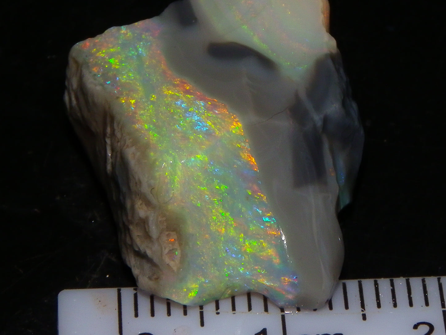 Quality Lightning Ridge Seam Opal Rough Stone 25cts Multicolours 2 Sections