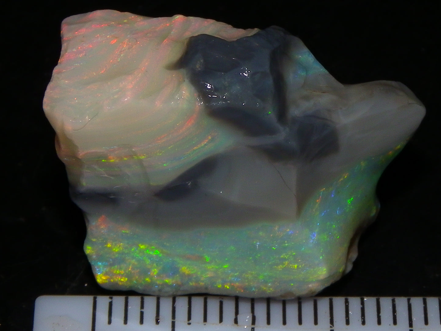 Quality Lightning Ridge Seam Opal Rough Stone 25cts Multicolours 2 Sections