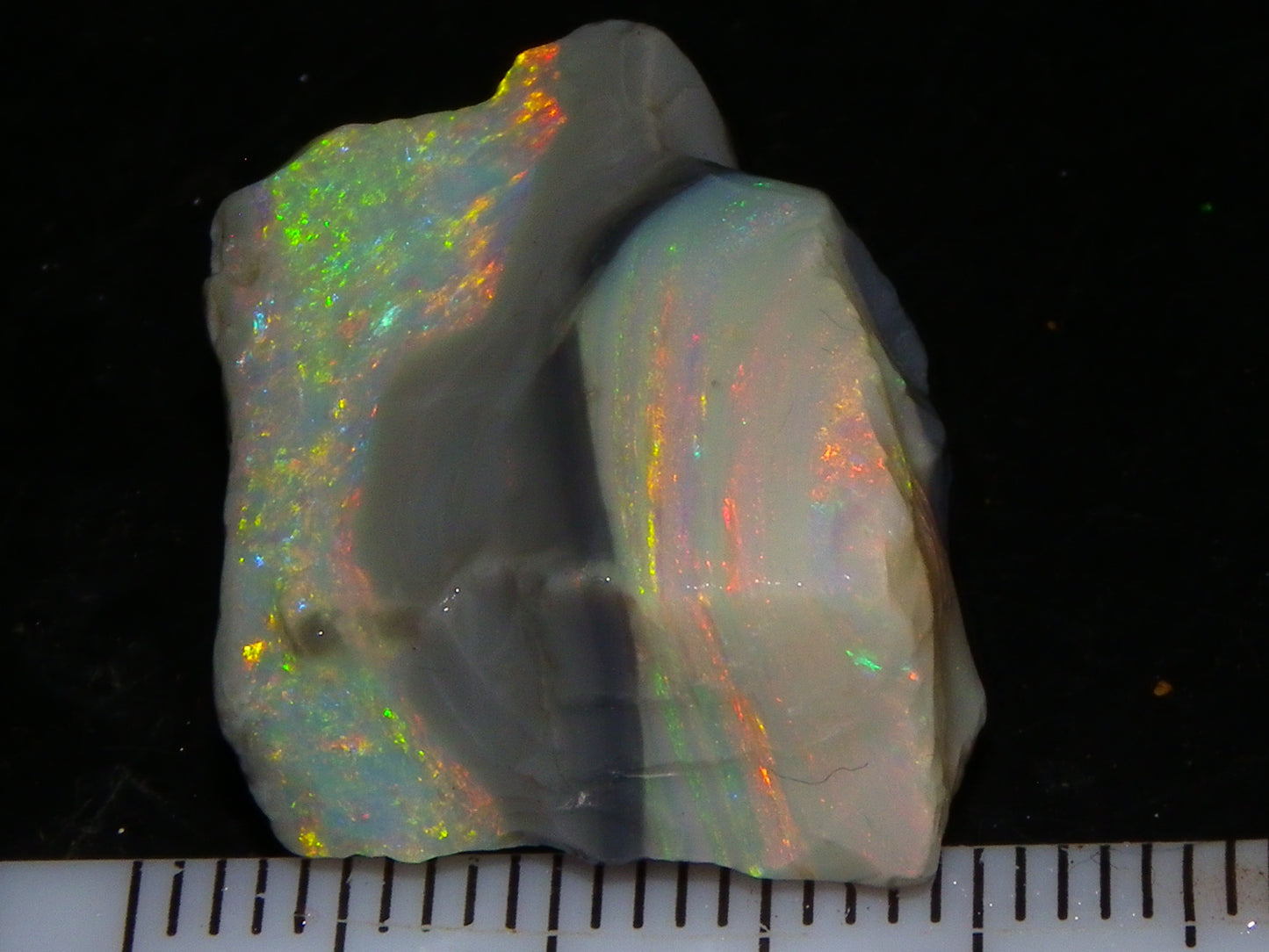 Quality Lightning Ridge Seam Opal Rough Stone 25cts Multicolours 2 Sections