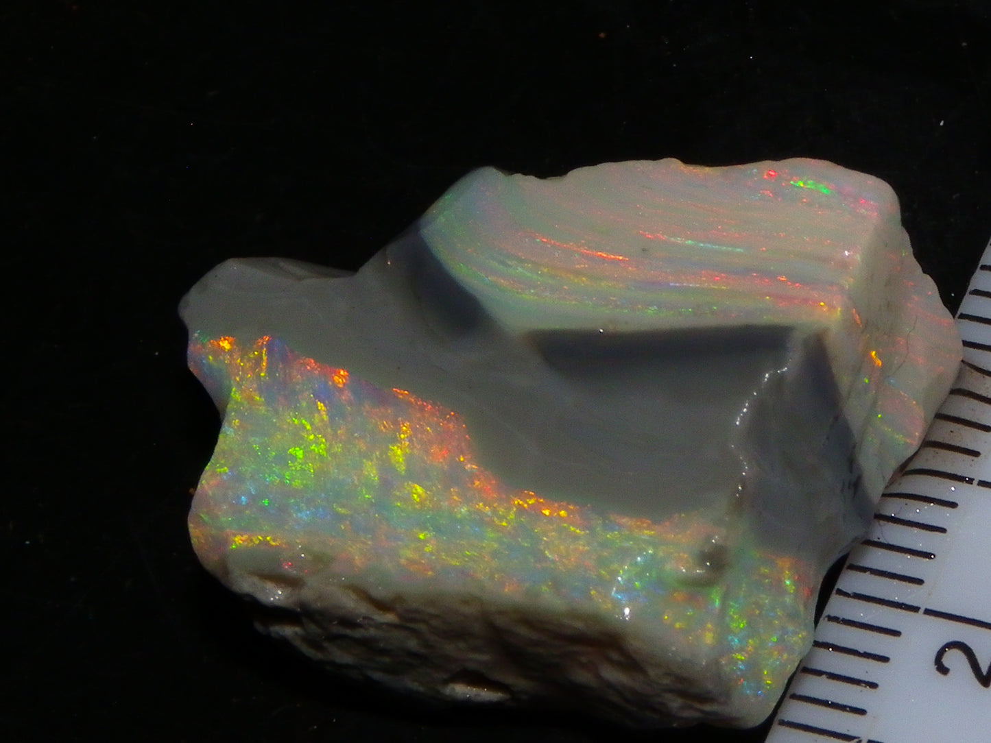 Quality Lightning Ridge Seam Opal Rough Stone 25cts Multicolours 2 Sections