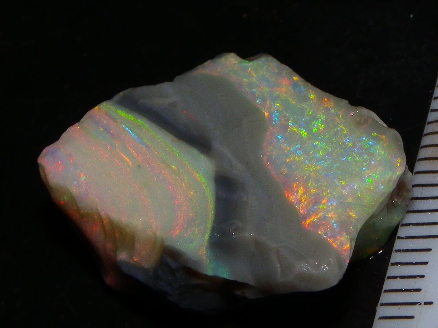 Quality Lightning Ridge Seam Opal Rough Stone 25cts Multicolours 2 Sections