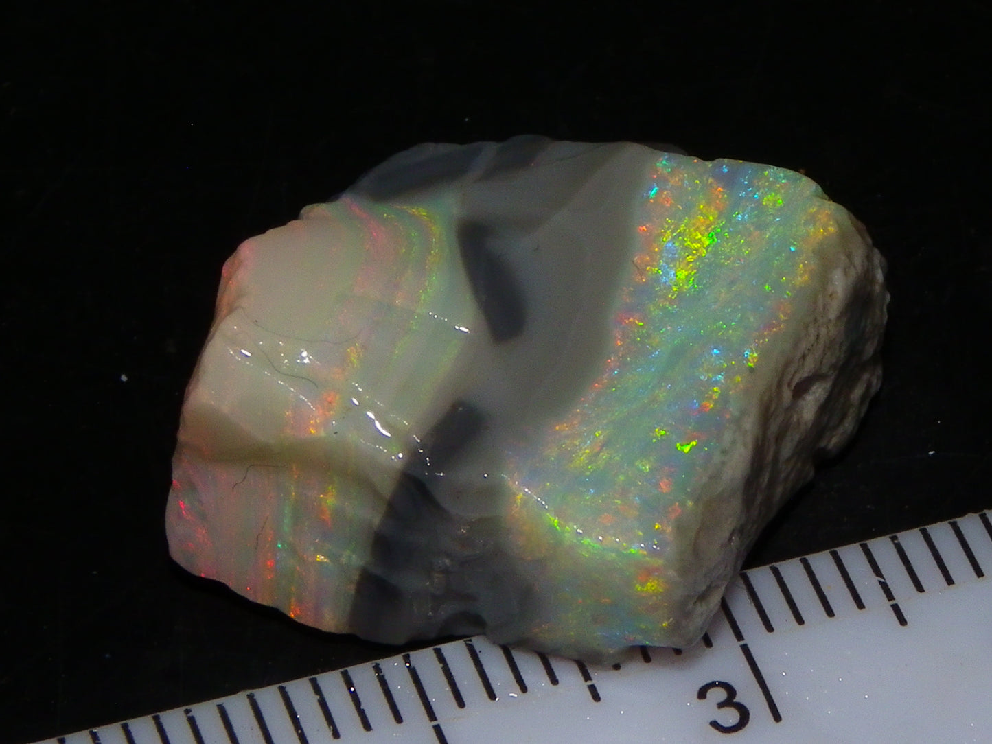 Quality Lightning Ridge Seam Opal Rough Stone 25cts Multicolours 2 Sections