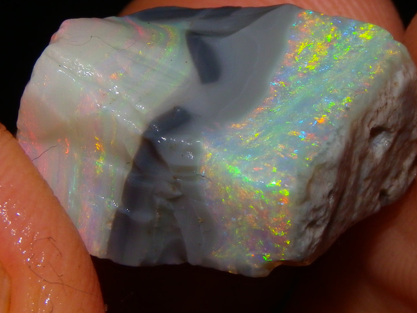Quality Lightning Ridge Seam Opal Rough Stone 25cts Multicolours 2 Sections