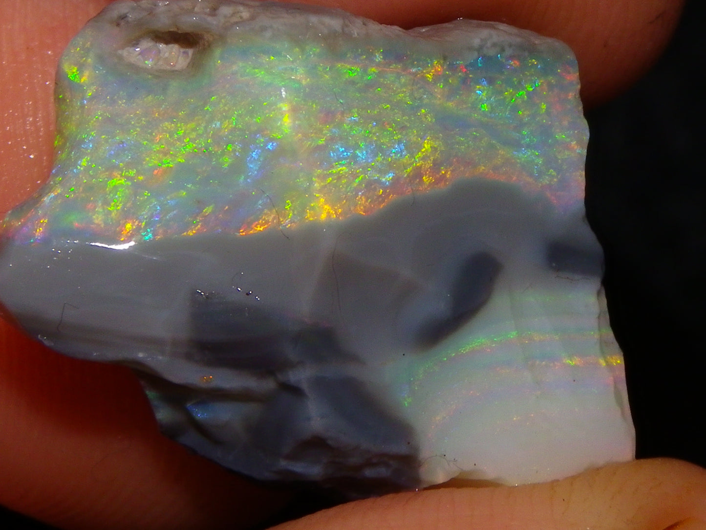 Quality Lightning Ridge Seam Opal Rough Stone 25cts Multicolours 2 Sections
