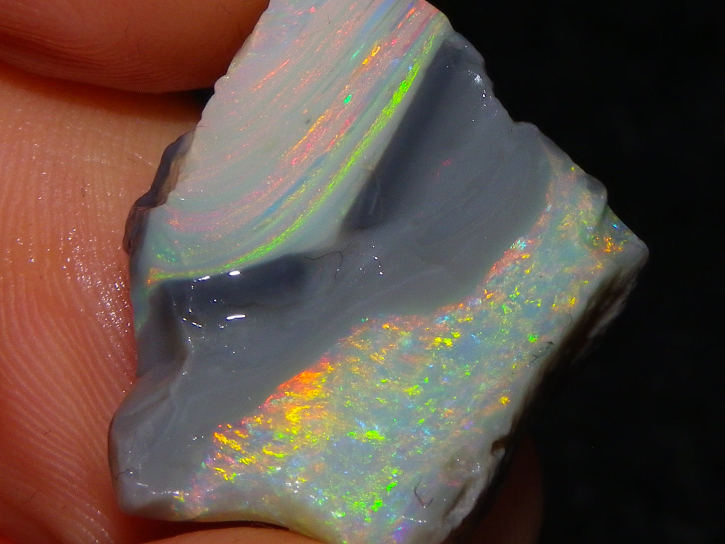 Quality Lightning Ridge Seam Opal Rough Stone 25cts Multicolours 2 Sections