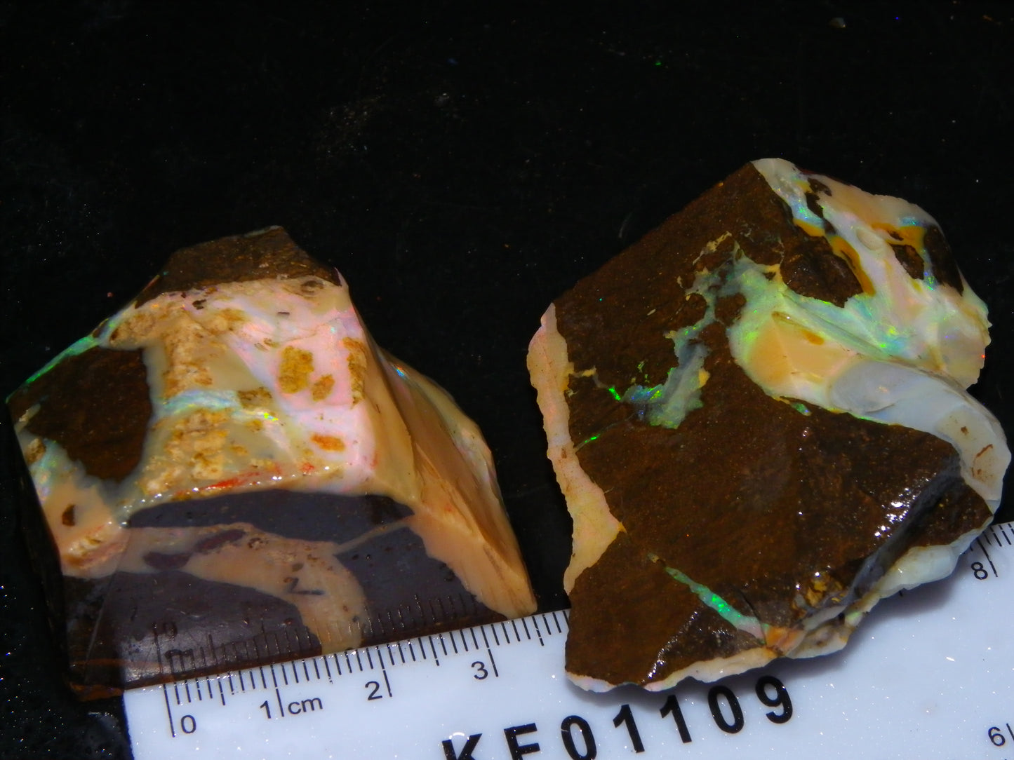 2 Nice Chunky Rough/Sliced Boulder Opal Specimens 705cts Queensland Australia