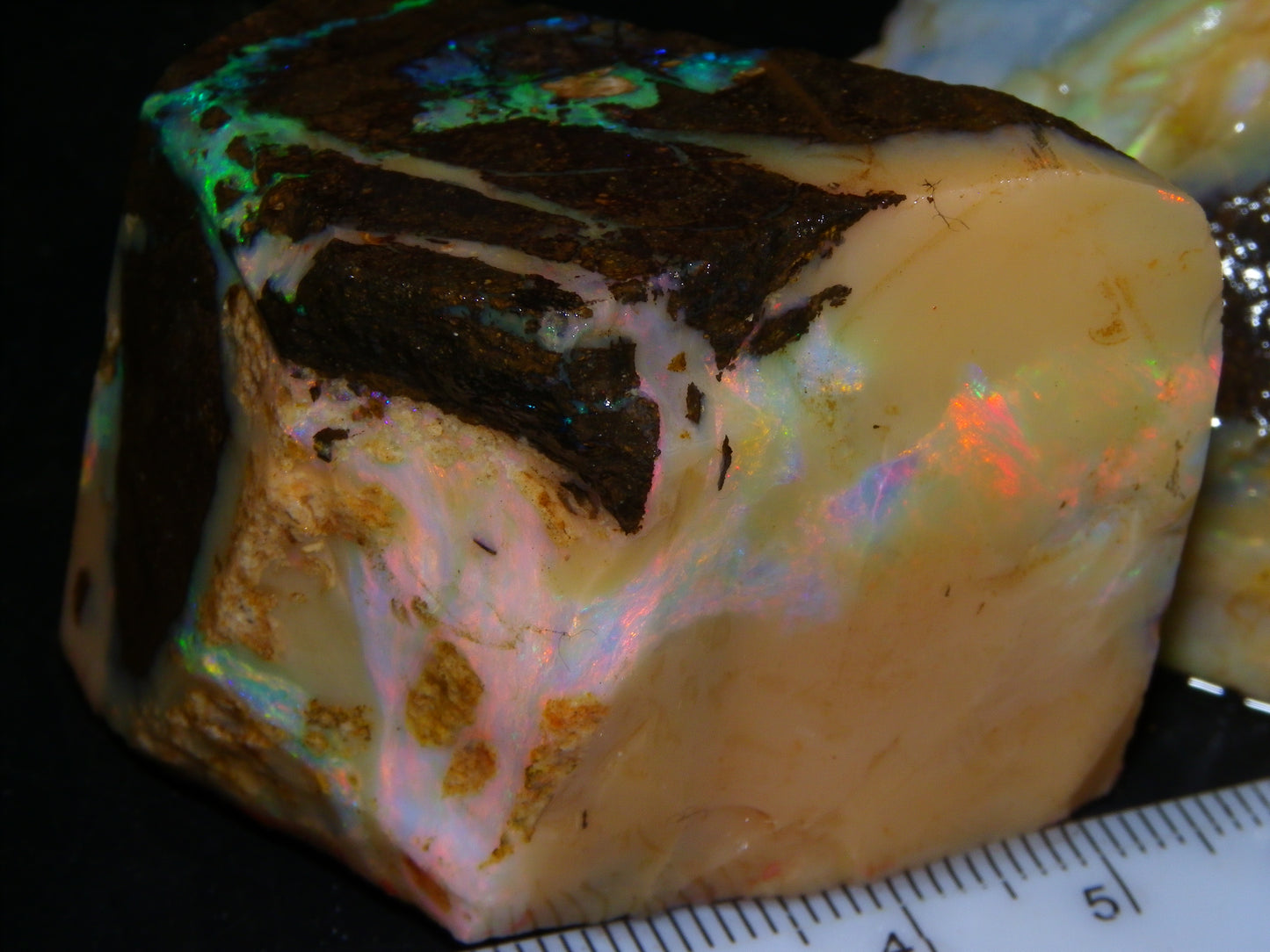 2 Nice Chunky Rough/Sliced Boulder Opal Specimens 705cts Queensland Australia