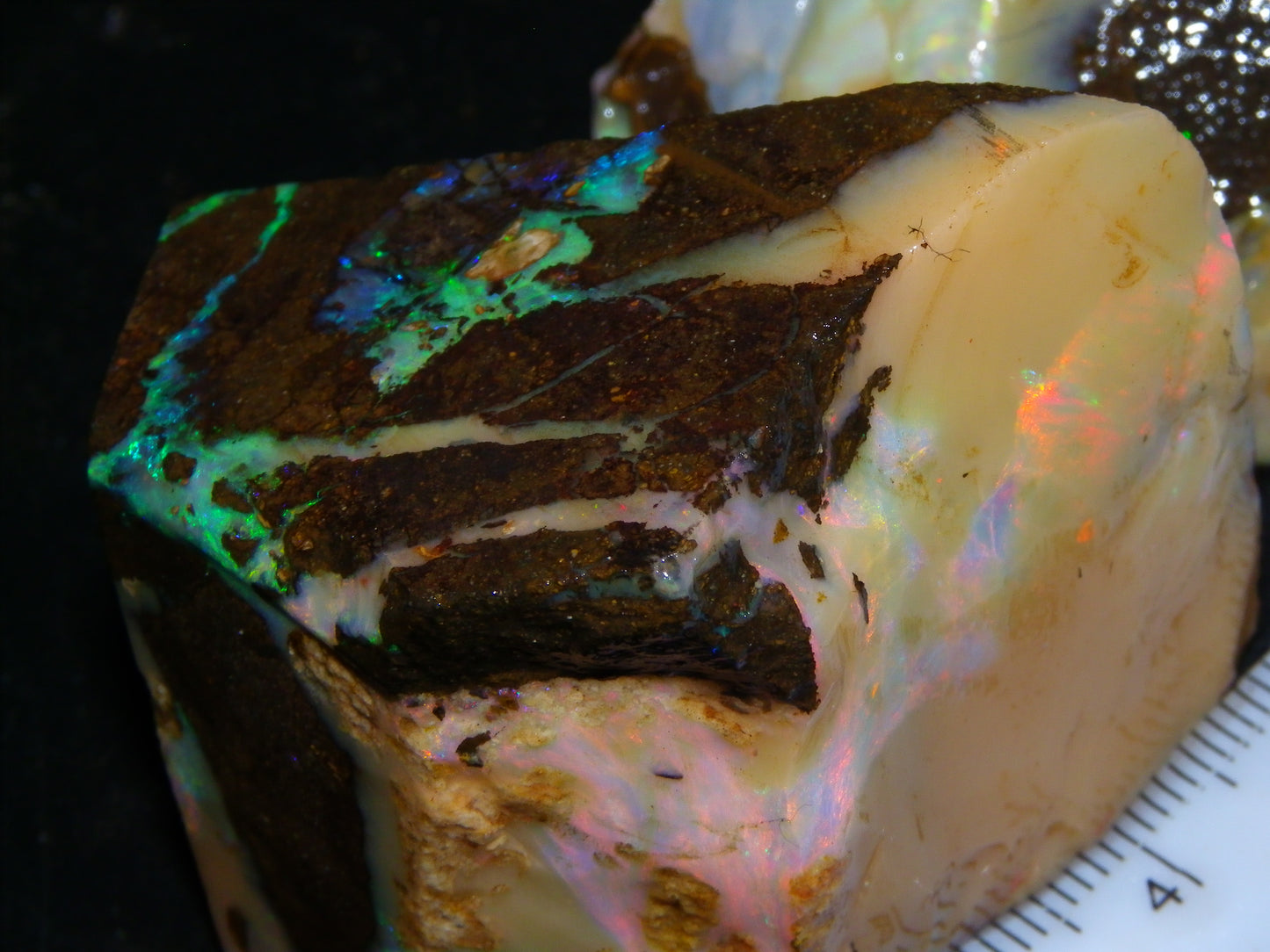 2 Nice Chunky Rough/Sliced Boulder Opal Specimens 705cts Queensland Australia