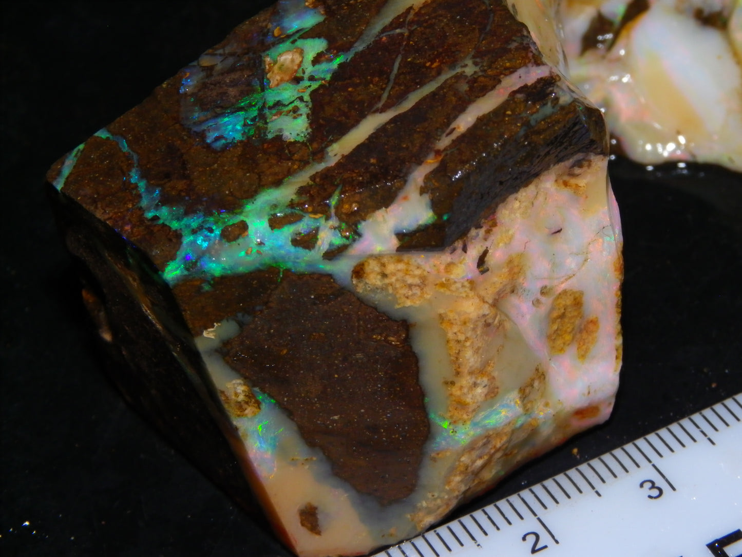 2 Nice Chunky Rough/Sliced Boulder Opal Specimens 705cts Queensland Australia
