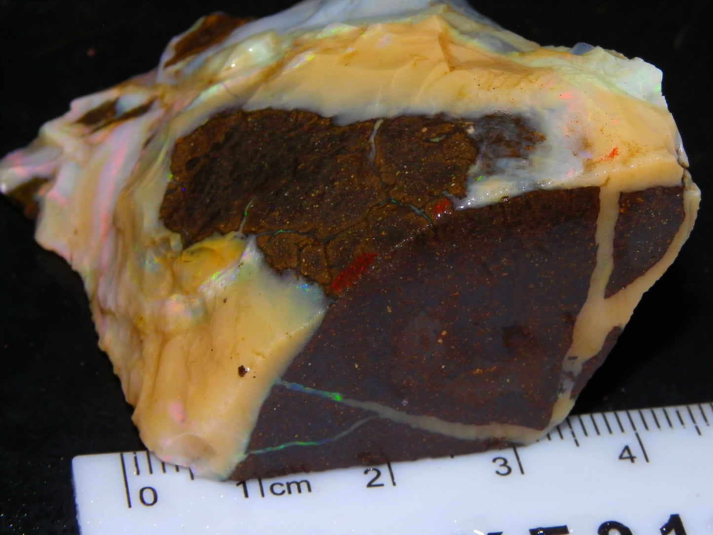 2 Nice Chunky Rough/Sliced Boulder Opal Specimens 705cts Queensland Australia