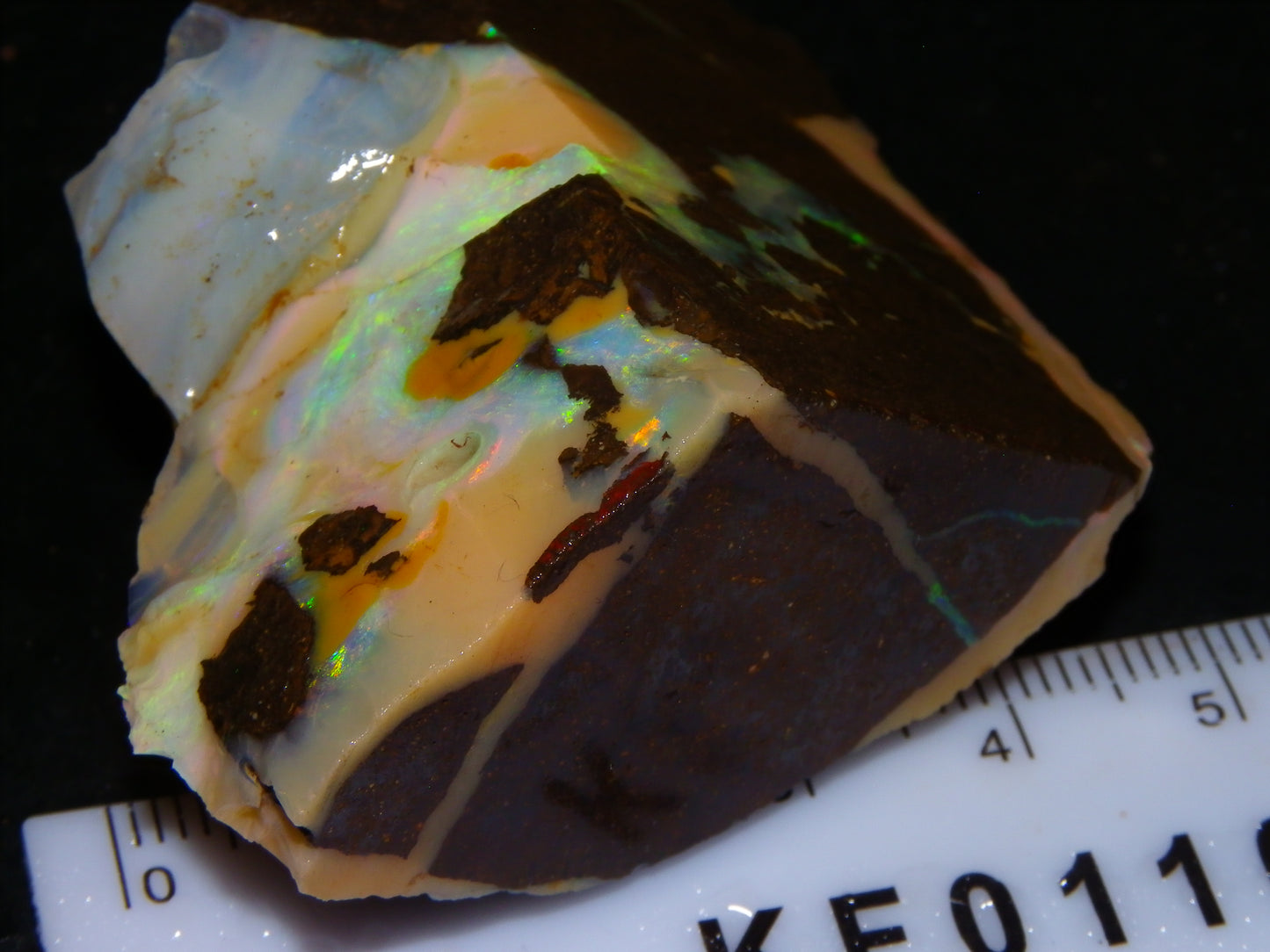 2 Nice Chunky Rough/Sliced Boulder Opal Specimens 705cts Queensland Australia