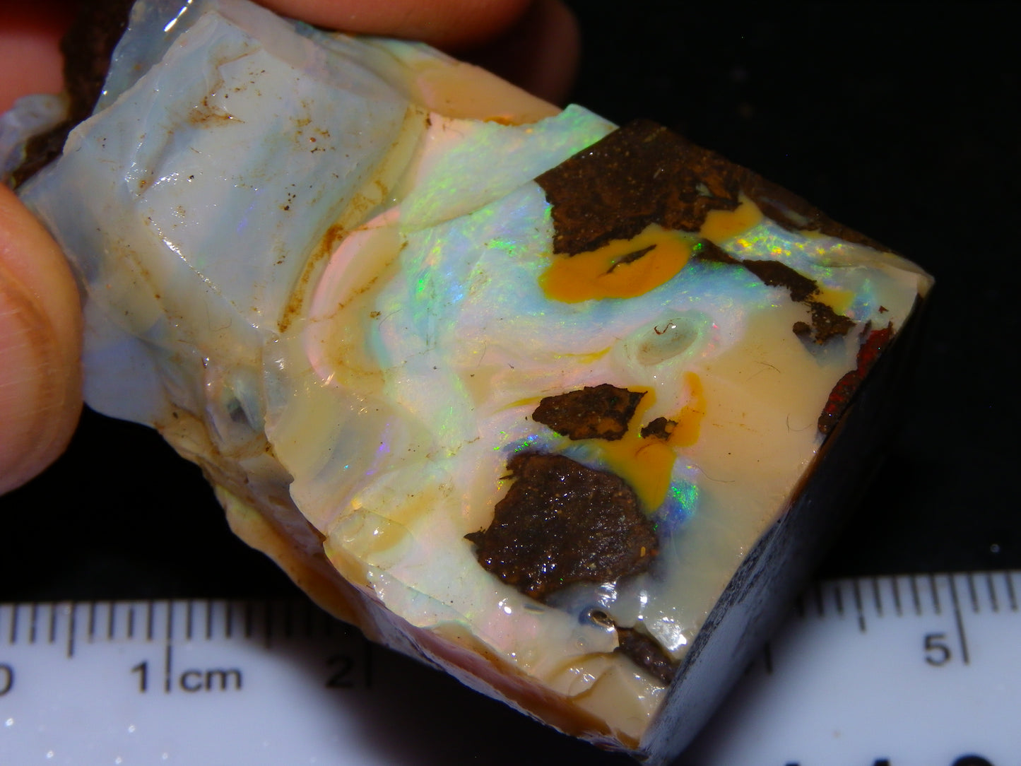 2 Nice Chunky Rough/Sliced Boulder Opal Specimens 705cts Queensland Australia