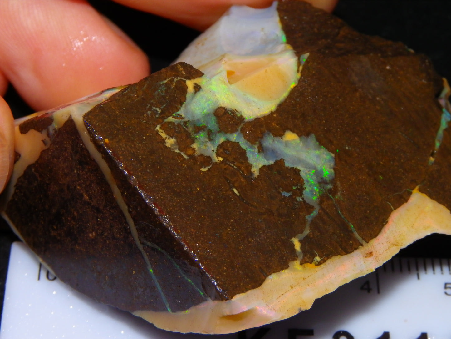 2 Nice Chunky Rough/Sliced Boulder Opal Specimens 705cts Queensland Australia