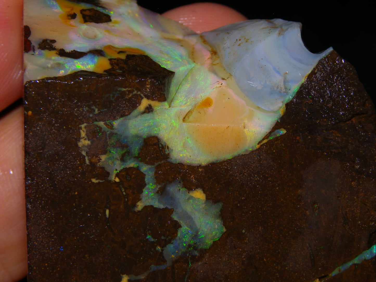2 Nice Chunky Rough/Sliced Boulder Opal Specimens 705cts Queensland Australia