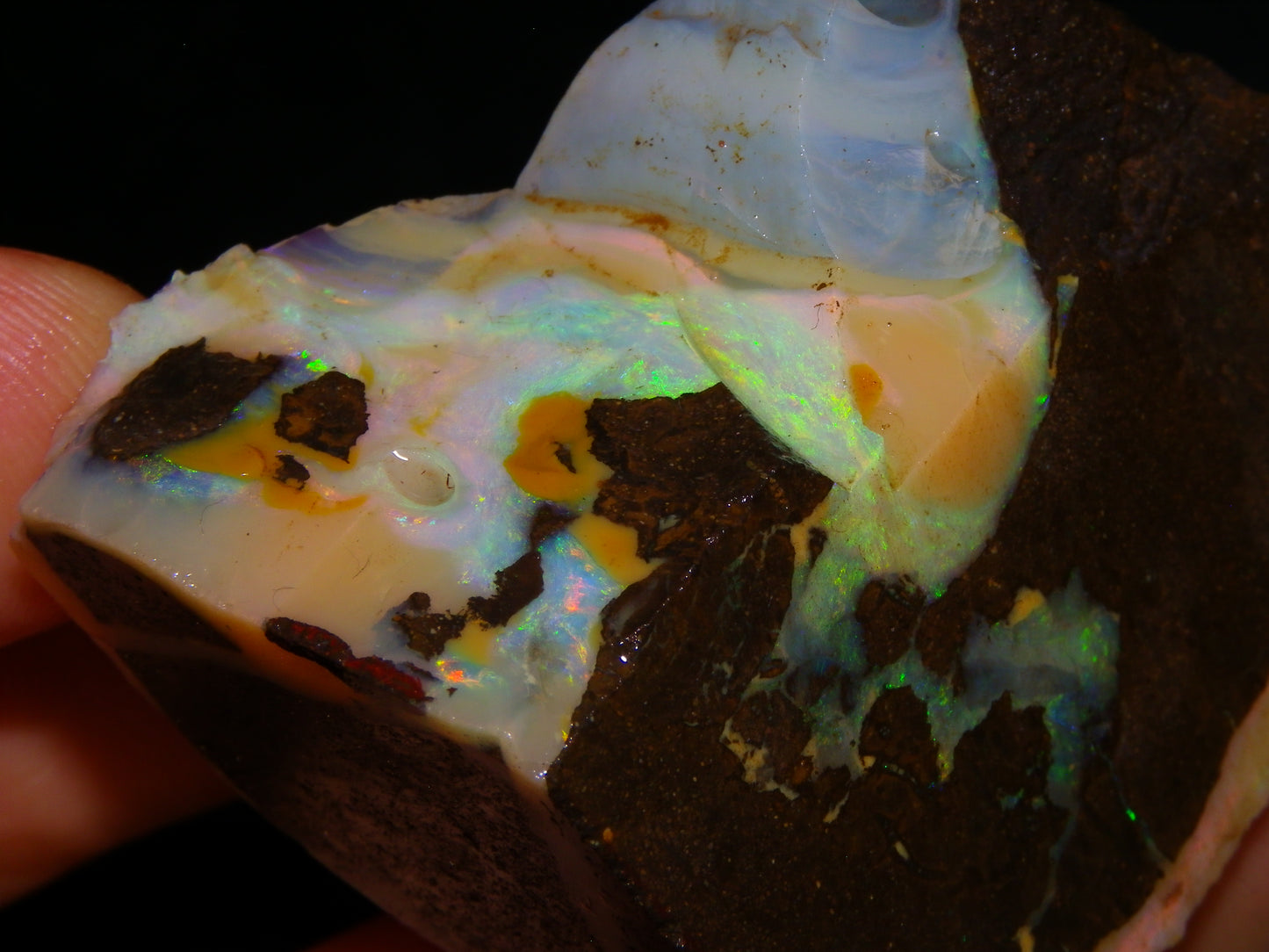 2 Nice Chunky Rough/Sliced Boulder Opal Specimens 705cts Queensland Australia