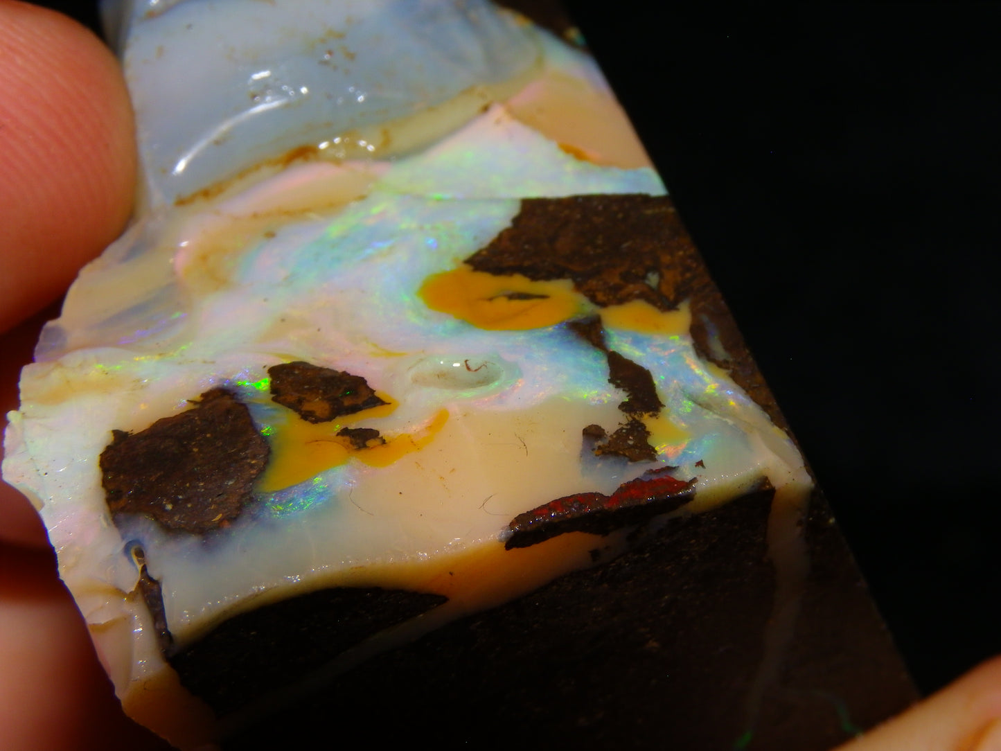 2 Nice Chunky Rough/Sliced Boulder Opal Specimens 705cts Queensland Australia