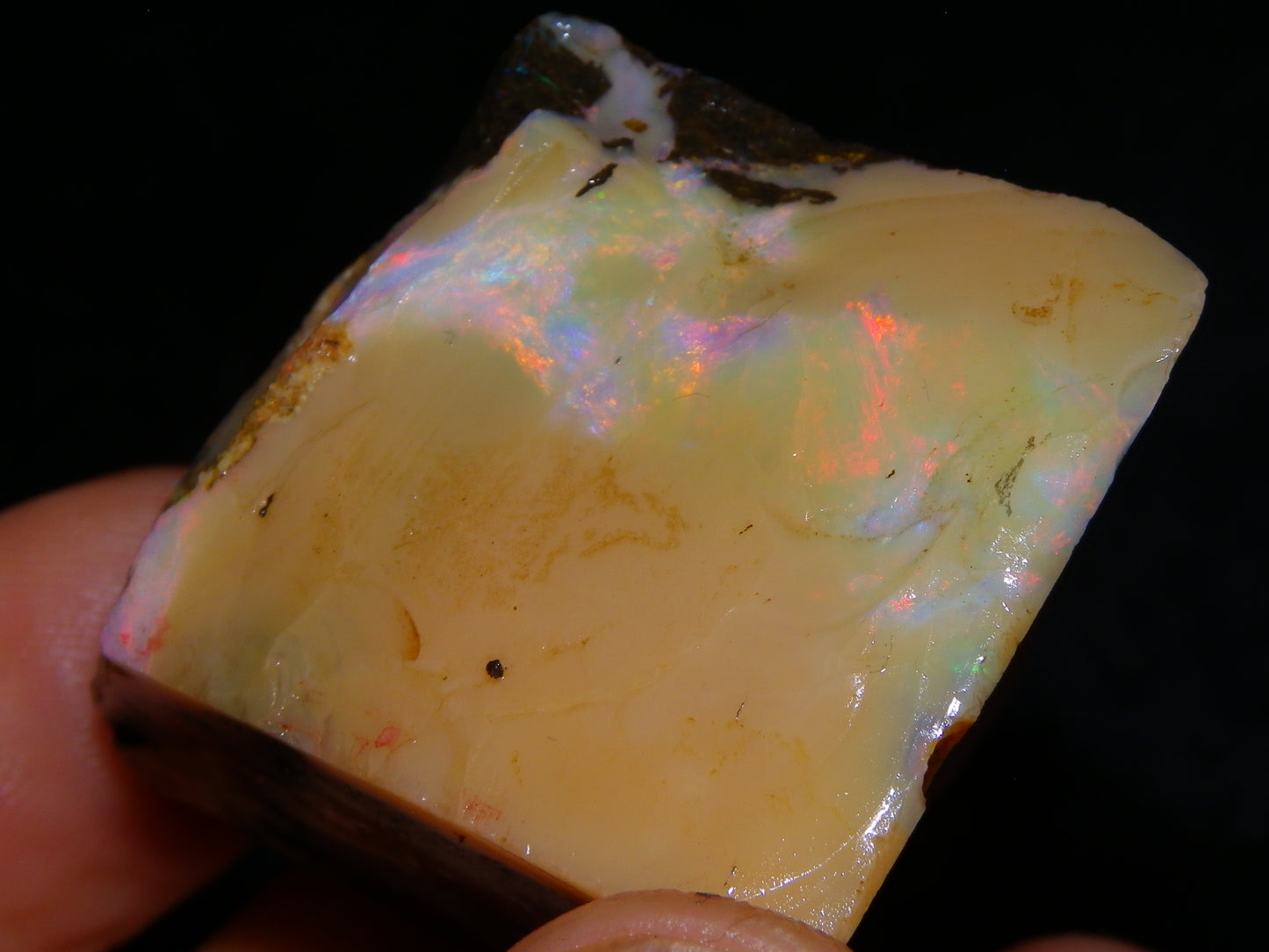 2 Nice Chunky Rough/Sliced Boulder Opal Specimens 705cts Queensland Australia