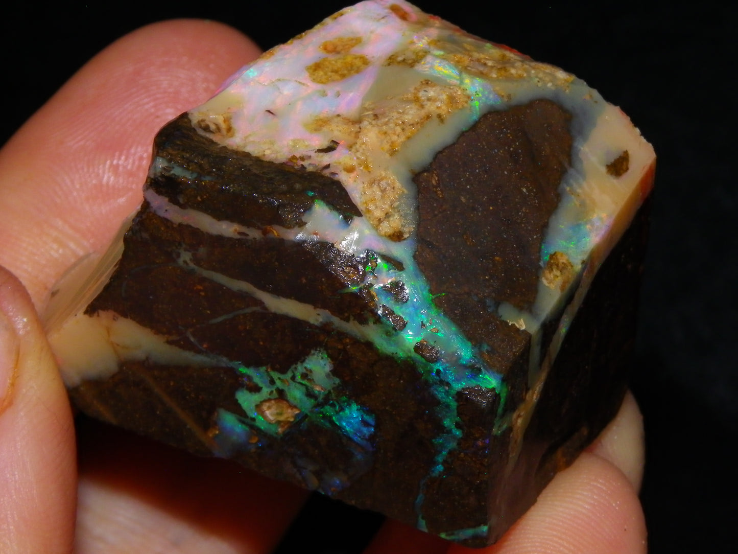 2 Nice Chunky Rough/Sliced Boulder Opal Specimens 705cts Queensland Australia