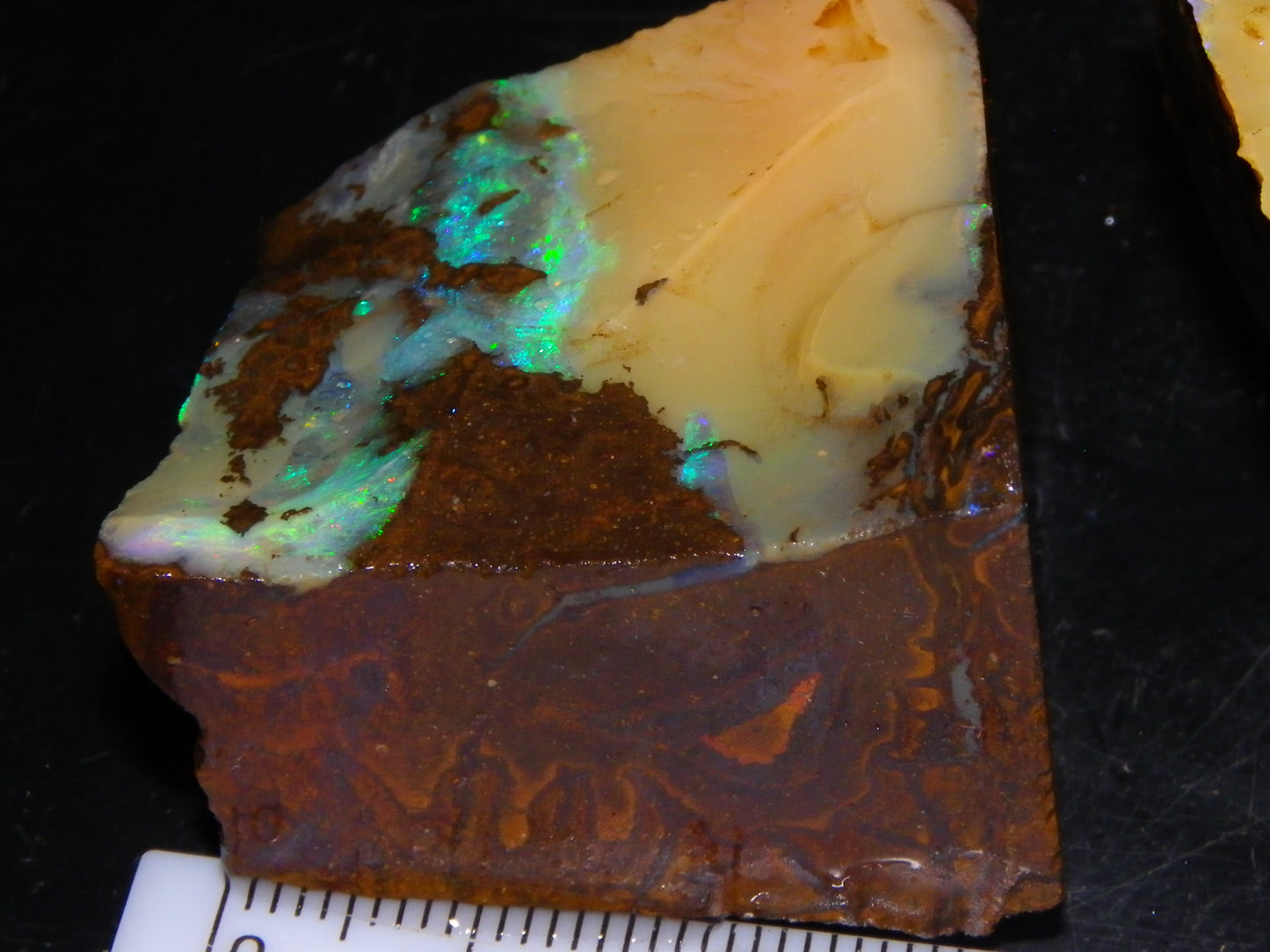 2 Nice Rough Boulder Opals Specimens 809cts Queensland Australia Some Fires Green/Blue