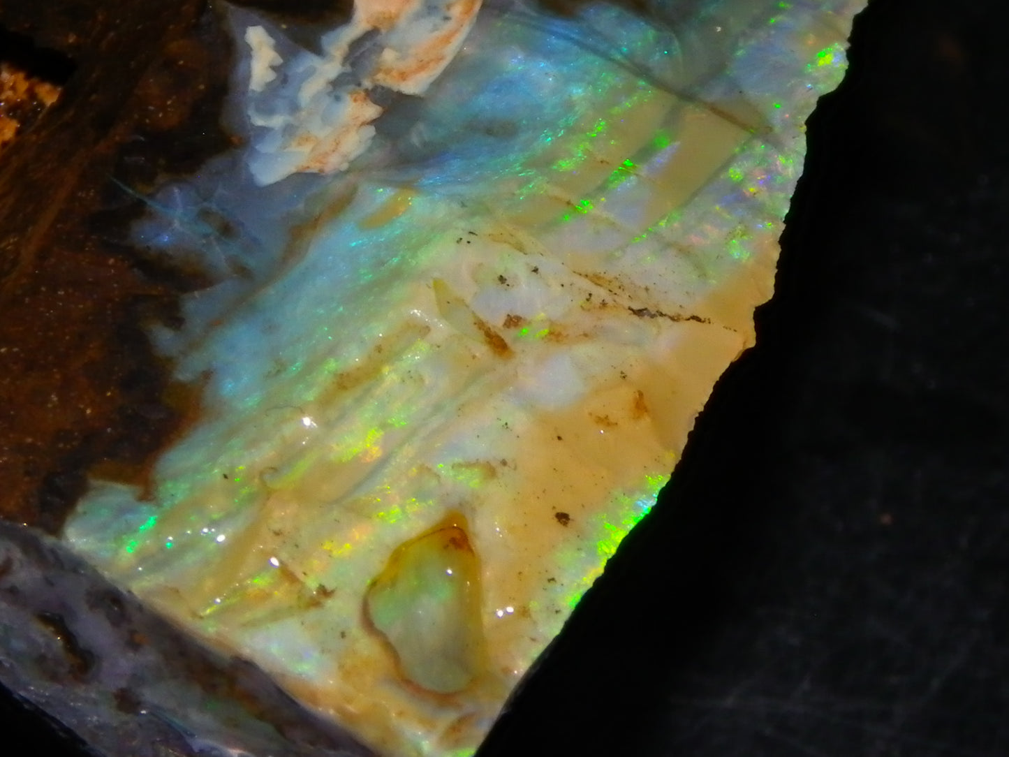 2 Nice Rough Boulder Opals Specimens 809cts Queensland Australia Some Fires Green/Blue