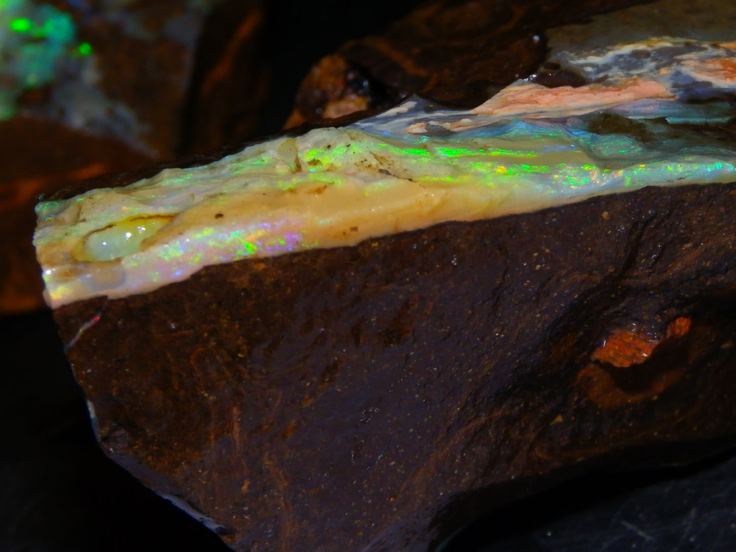 2 Nice Rough Boulder Opals Specimens 809cts Queensland Australia Some Fires Green/Blue