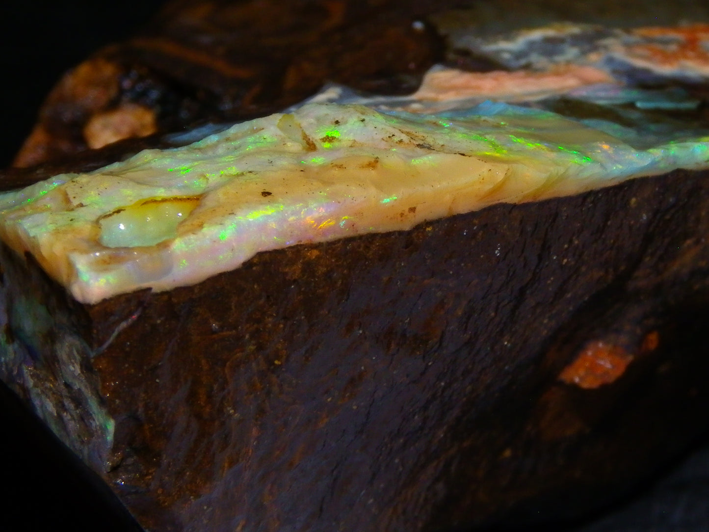 2 Nice Rough Boulder Opals Specimens 809cts Queensland Australia Some Fires Green/Blue