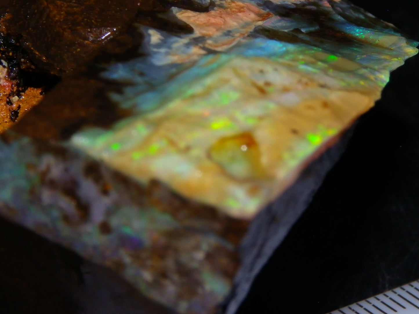 2 Nice Rough Boulder Opals Specimens 809cts Queensland Australia Some Fires Green/Blue