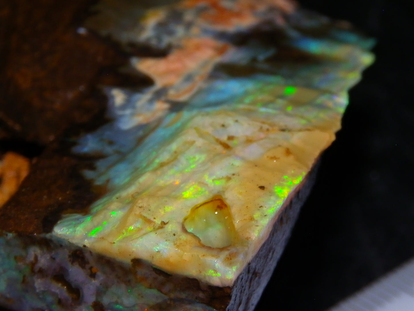 2 Nice Rough Boulder Opals Specimens 809cts Queensland Australia Some Fires Green/Blue