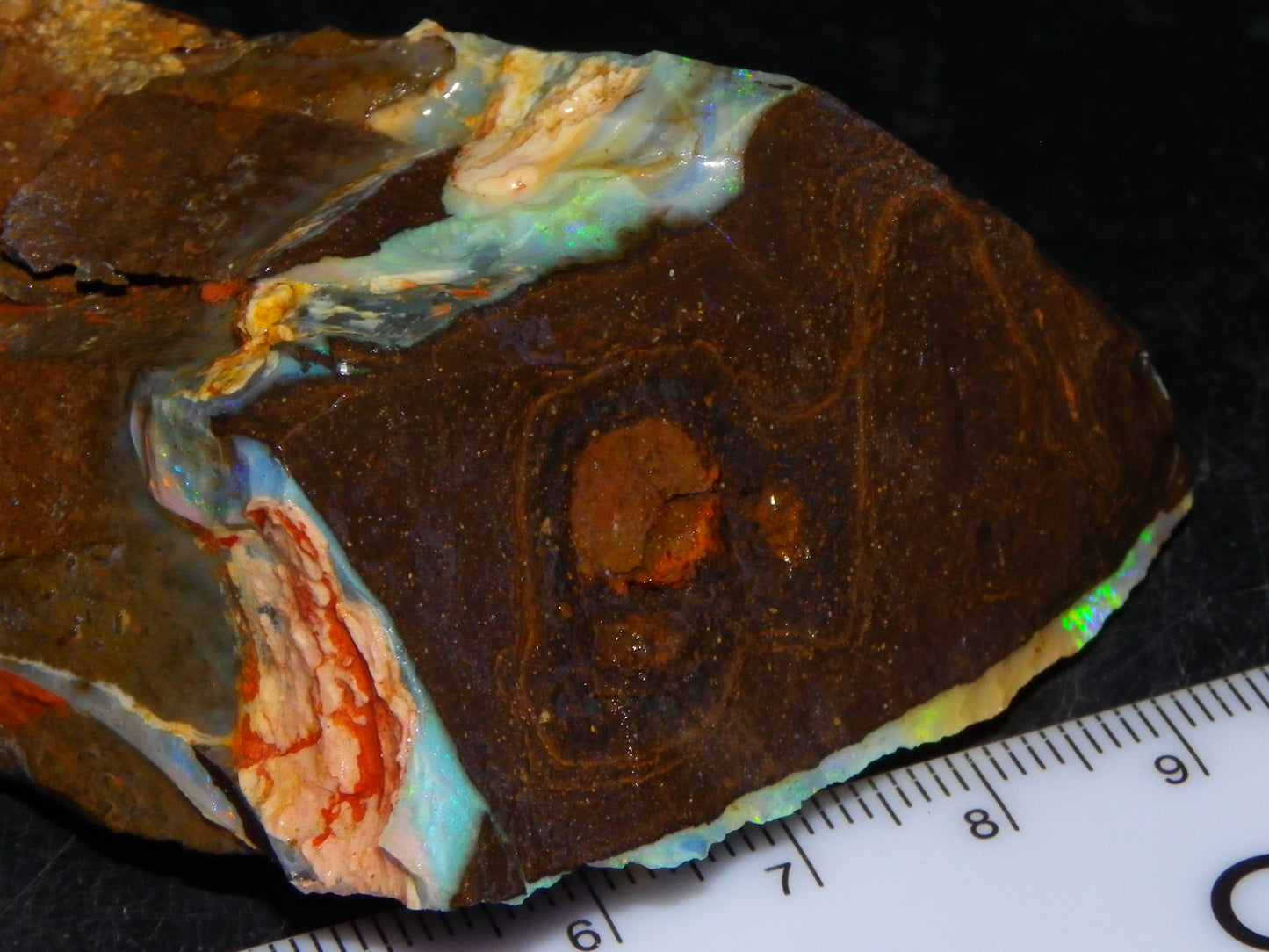 2 Nice Rough Boulder Opals Specimens 809cts Queensland Australia Some Fires Green/Blue