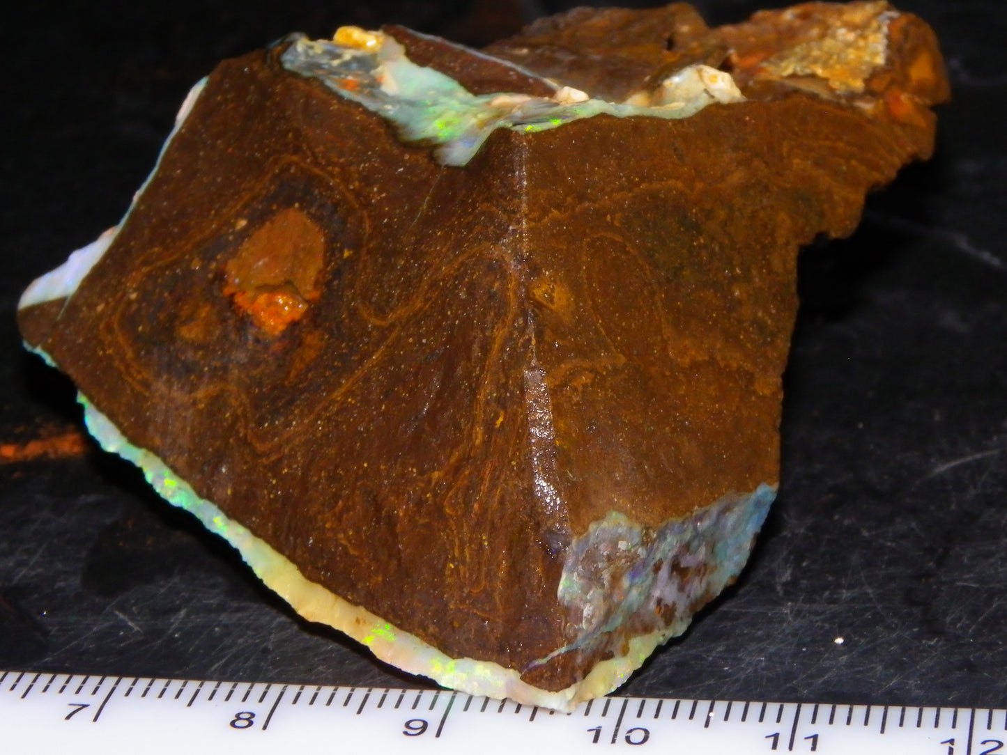 2 Nice Rough Boulder Opals Specimens 809cts Queensland Australia Some Fires Green/Blue