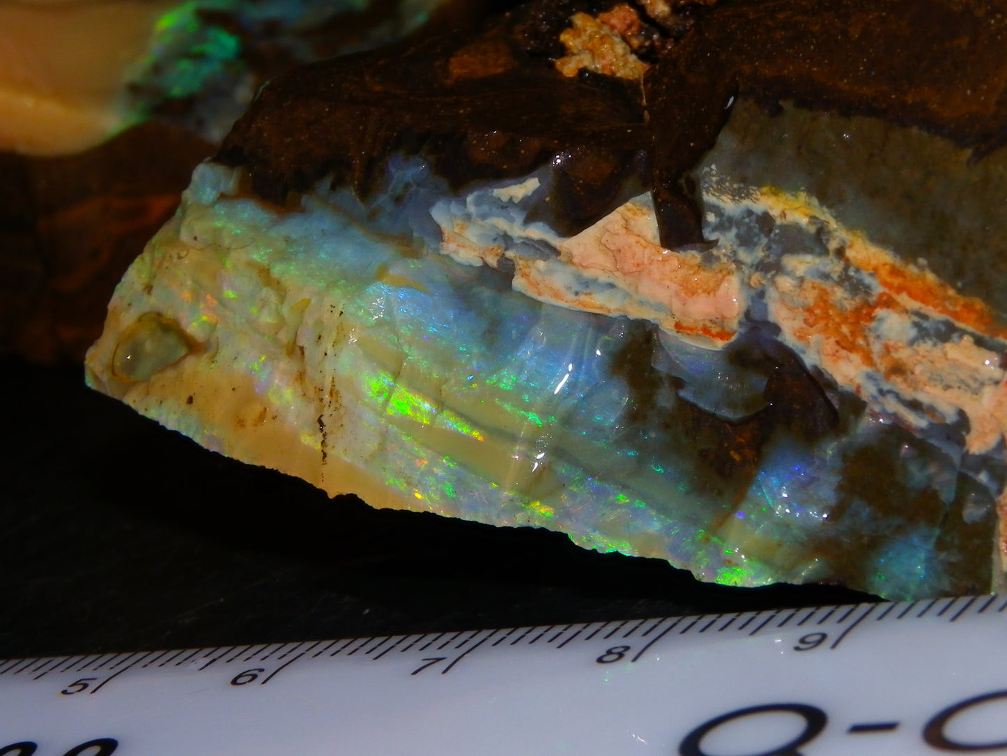 2 Nice Rough Boulder Opals Specimens 809cts Queensland Australia Some Fires Green/Blue