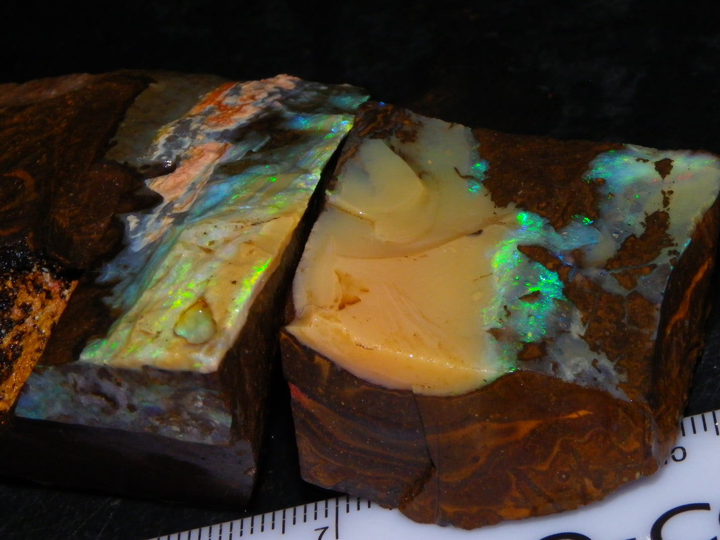 2 Nice Rough Boulder Opals Specimens 809cts Queensland Australia Some Fires Green/Blue