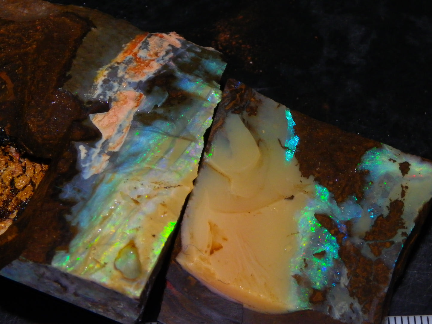2 Nice Rough Boulder Opals Specimens 809cts Queensland Australia Some Fires Green/Blue