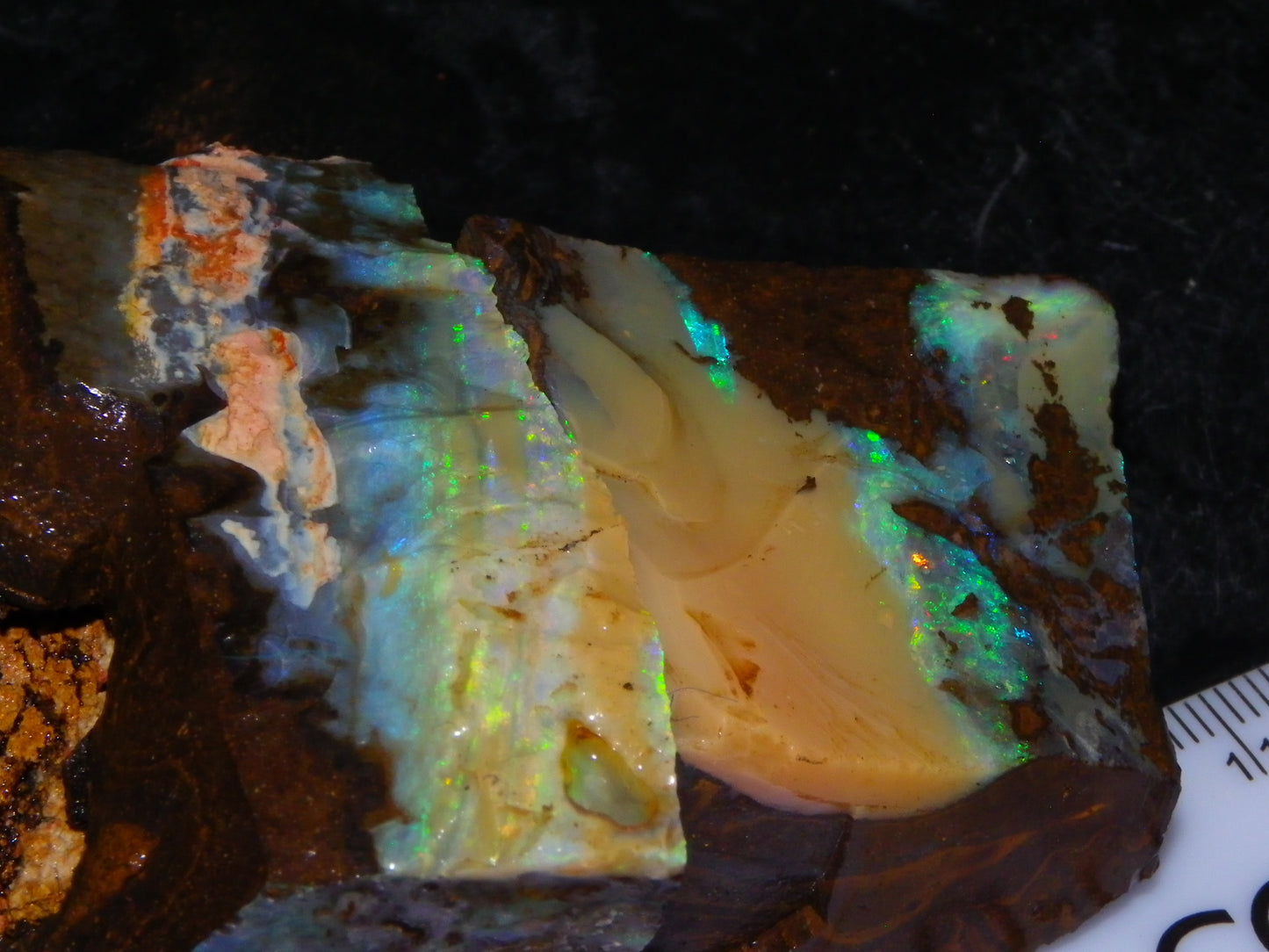 2 Nice Rough Boulder Opals Specimens 809cts Queensland Australia Some Fires Green/Blue
