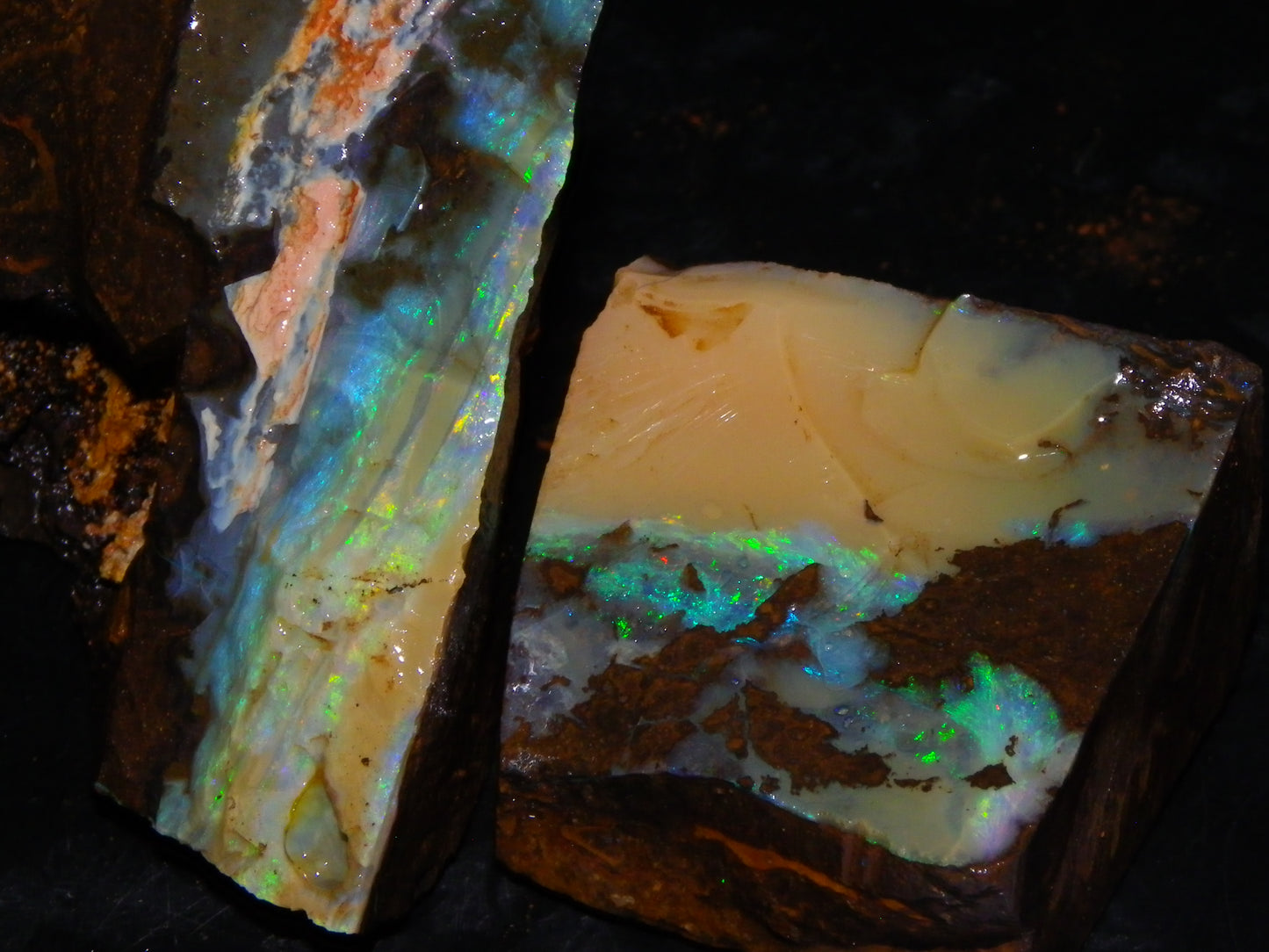 2 Nice Rough Boulder Opals Specimens 809cts Queensland Australia Some Fires Green/Blue