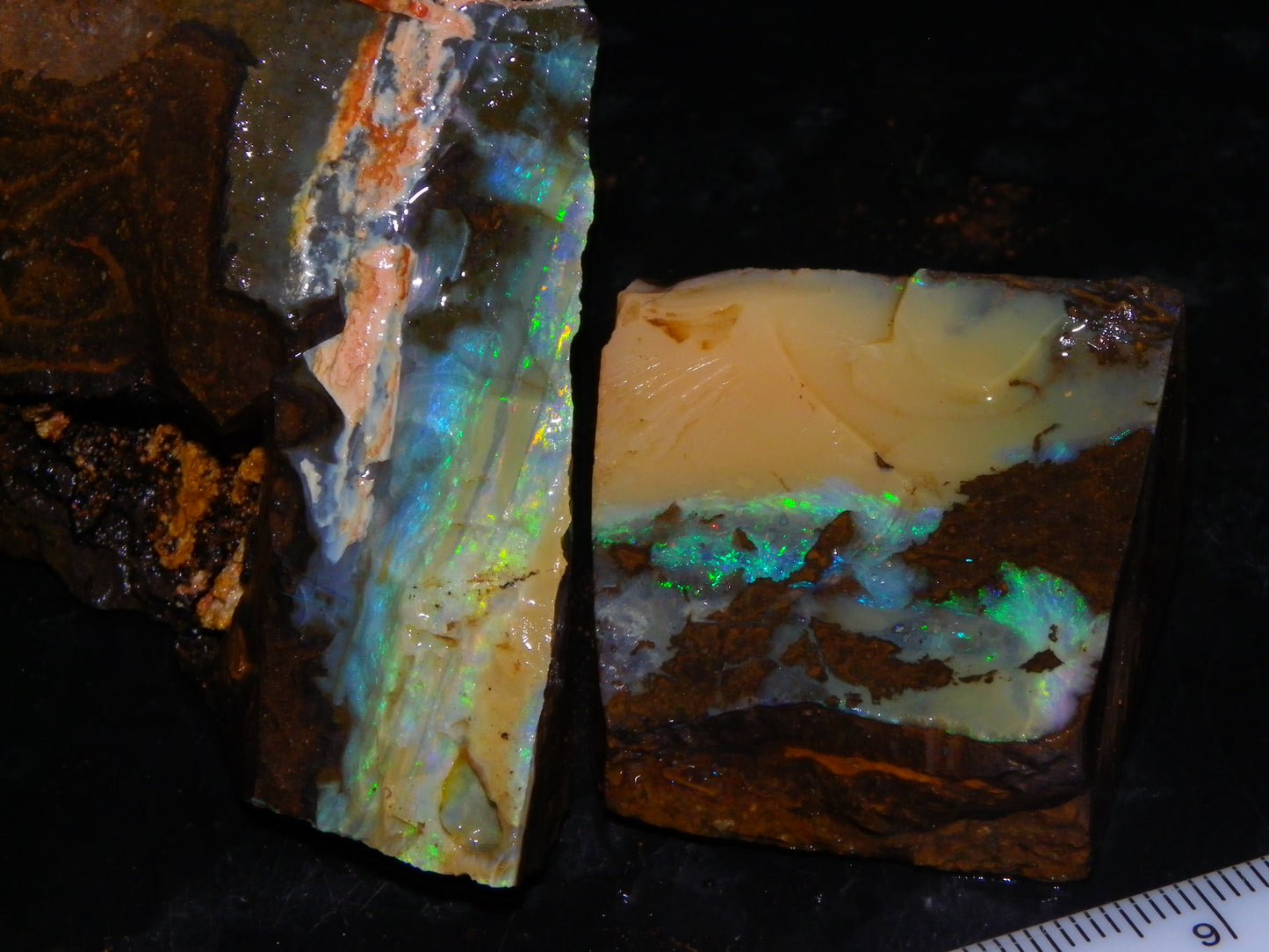 2 Nice Rough Boulder Opals Specimens 809cts Queensland Australia Some Fires Green/Blue