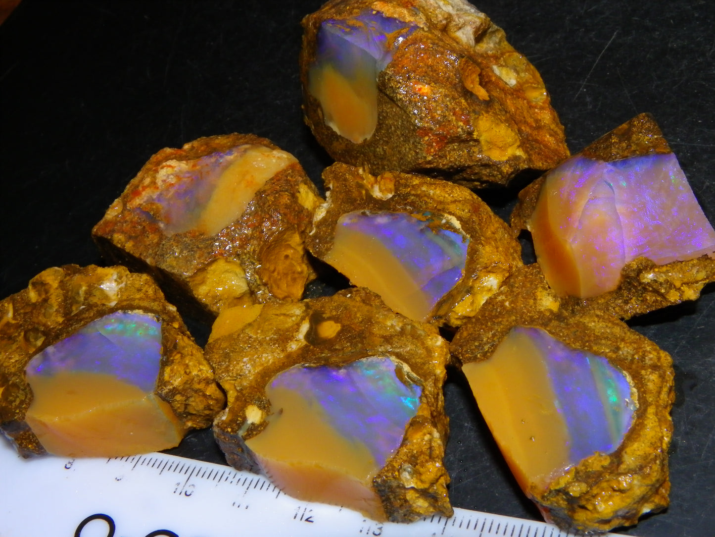 Nice Opalton Pipe Opal Sliced set/Parcel 962cts Blue/Purple/Greens Crystal Opal