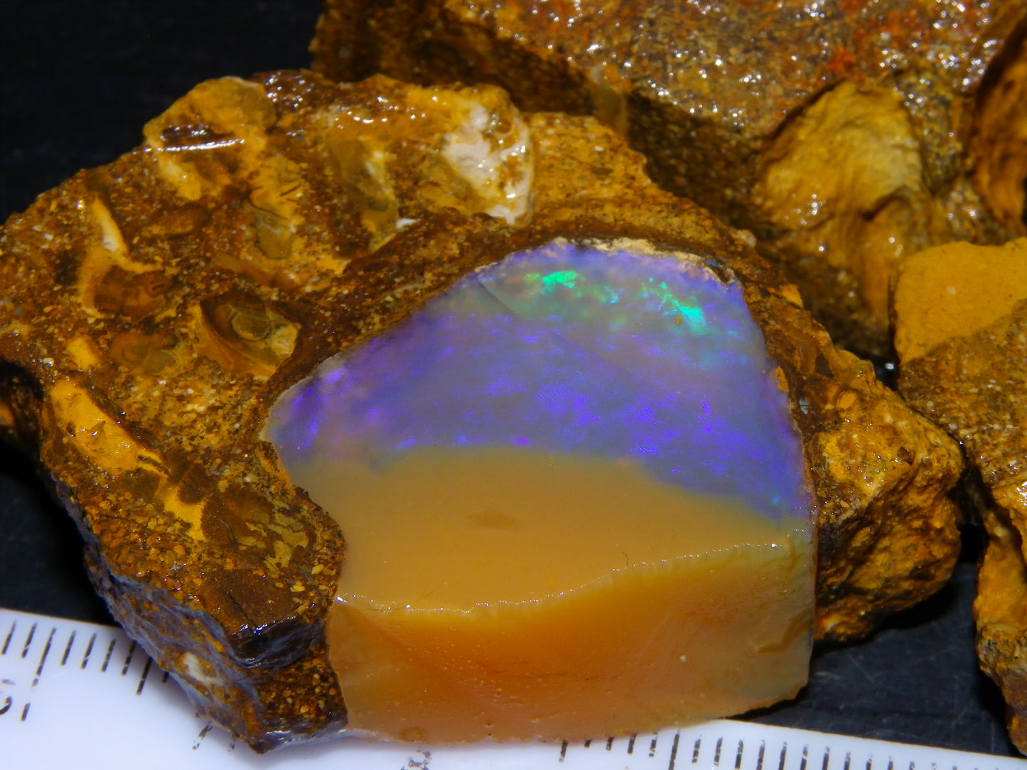 Nice Opalton Pipe Opal Sliced set/Parcel 962cts Blue/Purple/Greens Crystal Opal