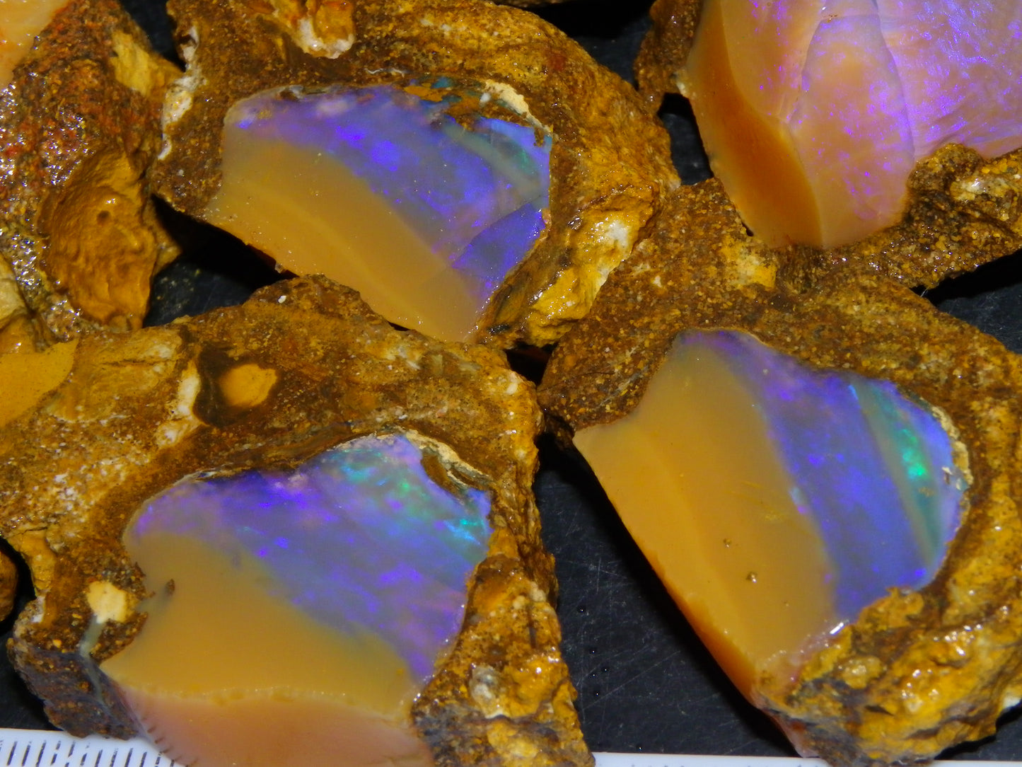 Nice Opalton Pipe Opal Sliced set/Parcel 962cts Blue/Purple/Greens Crystal Opal