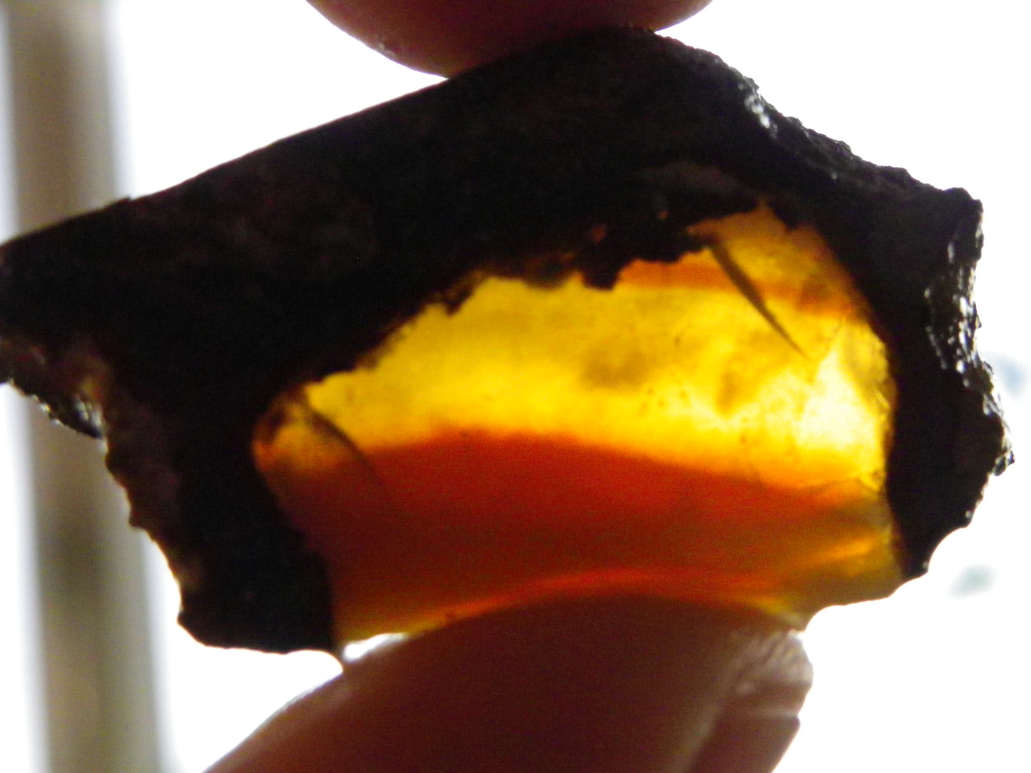 Nice Opalton Pipe Opal Sliced set/Parcel 962cts Blue/Purple/Greens Crystal Opal