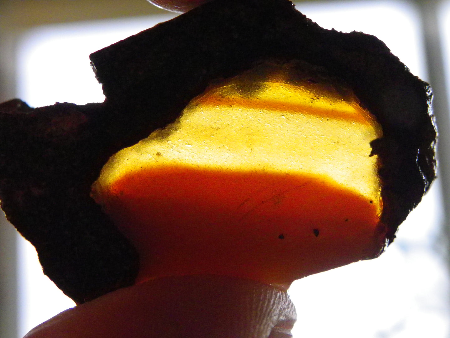 Nice Opalton Pipe Opal Sliced set/Parcel 962cts Blue/Purple/Greens Crystal Opal