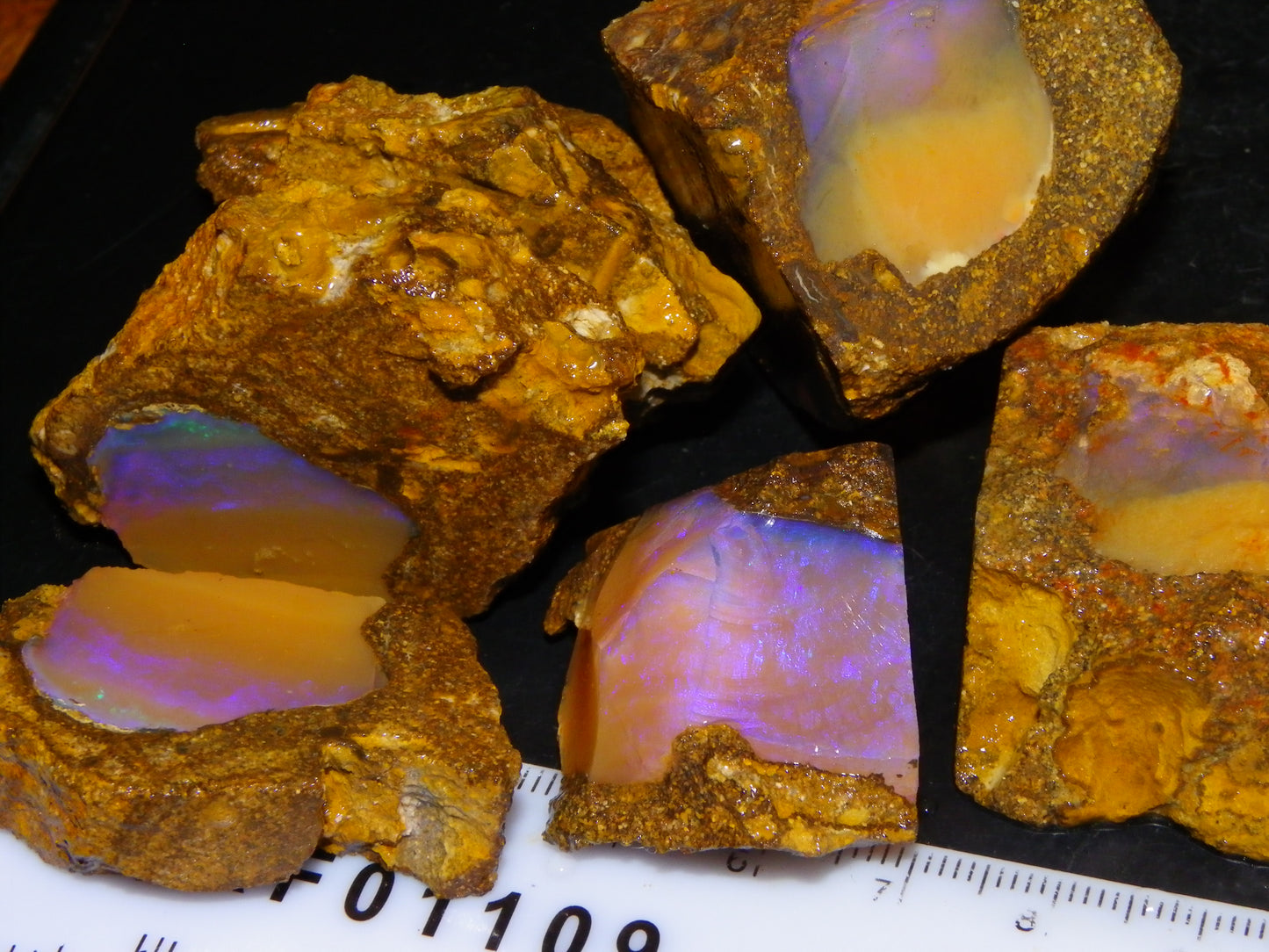 Nice Opalton Pipe Opal Sliced set/Parcel 962cts Blue/Purple/Greens Crystal Opal