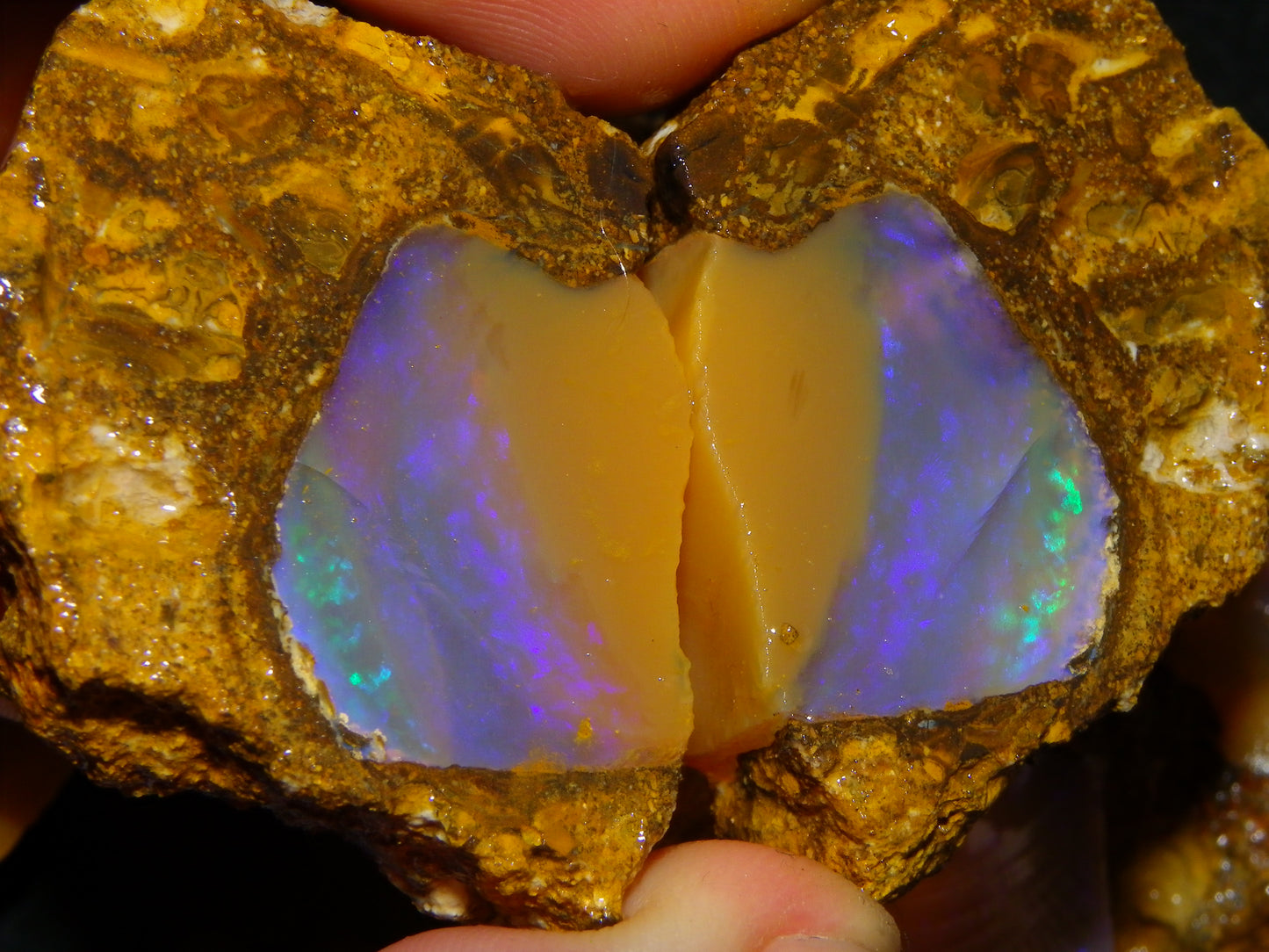 Nice Opalton Pipe Opal Sliced set/Parcel 962cts Blue/Purple/Greens Crystal Opal