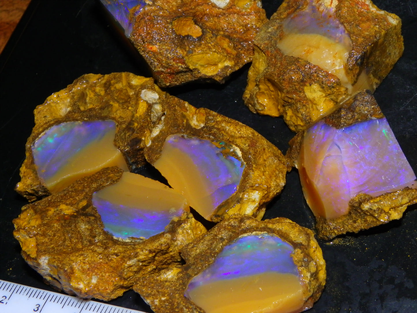 Nice Opalton Pipe Opal Sliced set/Parcel 962cts Blue/Purple/Greens Crystal Opal