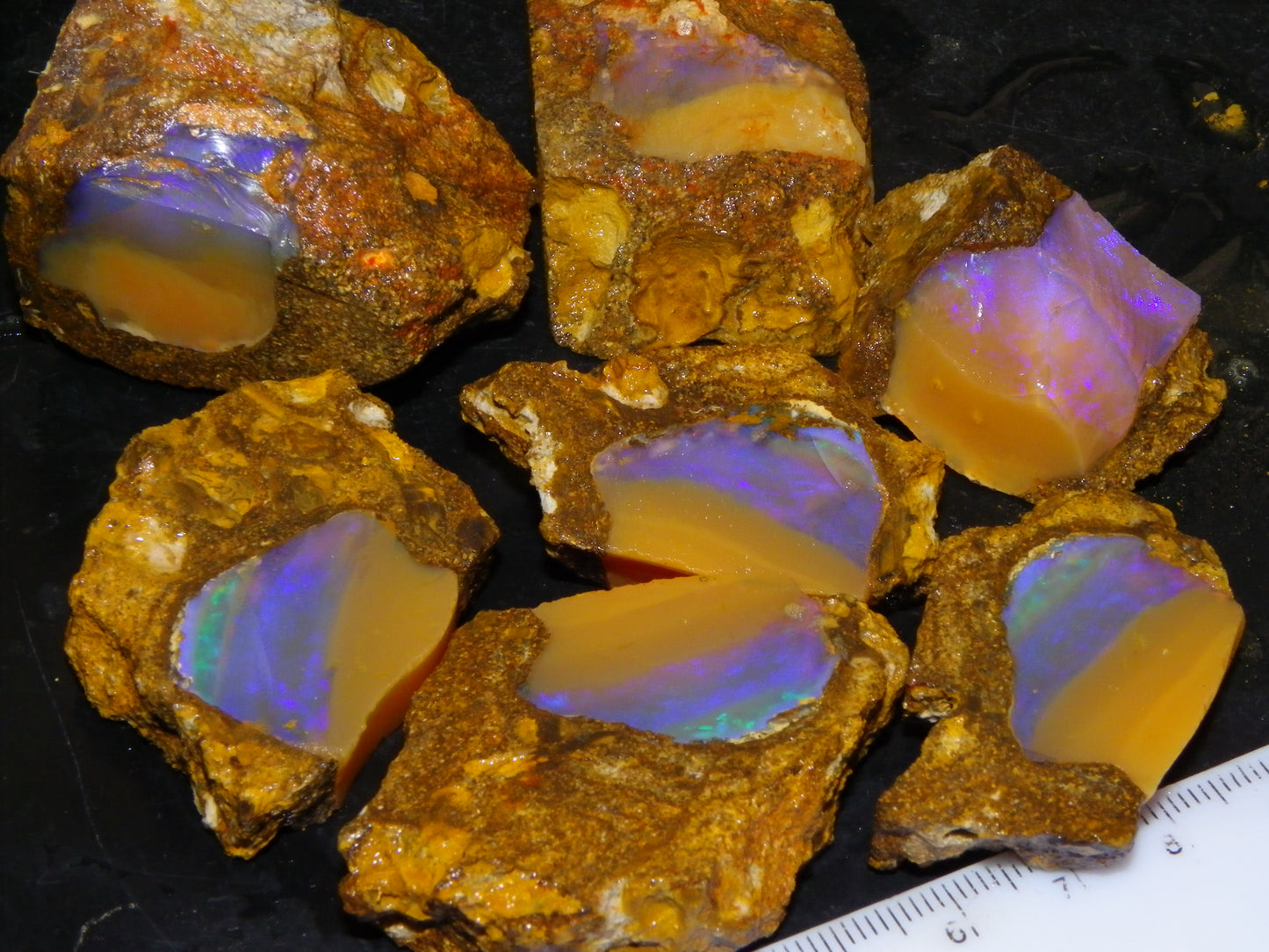 Nice Opalton Pipe Opal Sliced set/Parcel 962cts Blue/Purple/Greens Crystal Opal