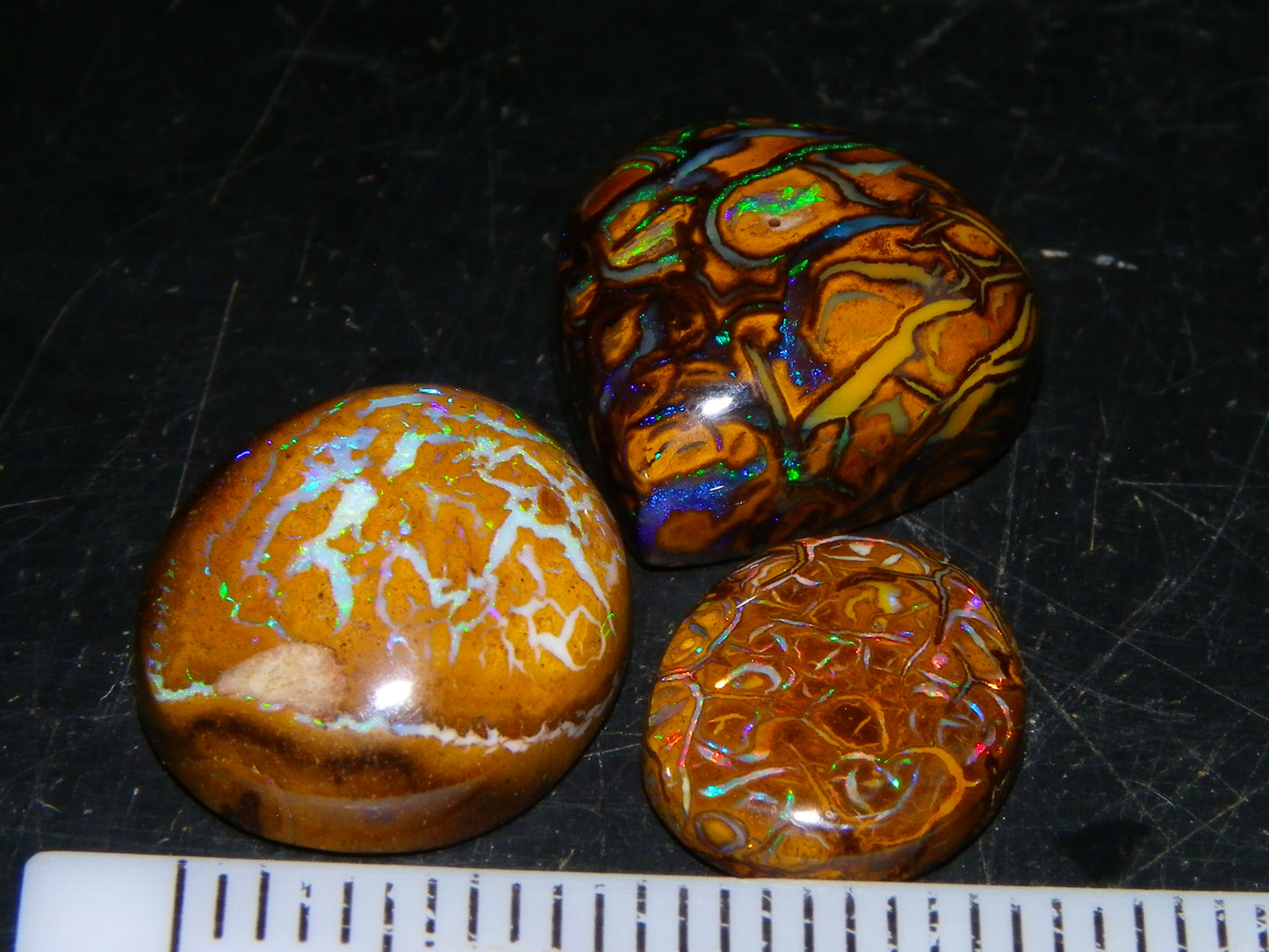 3 Nice Cut/Polished Koroit/Yowah Opal Ring Stones 17.5cts Multicolour Fires Qld Australia