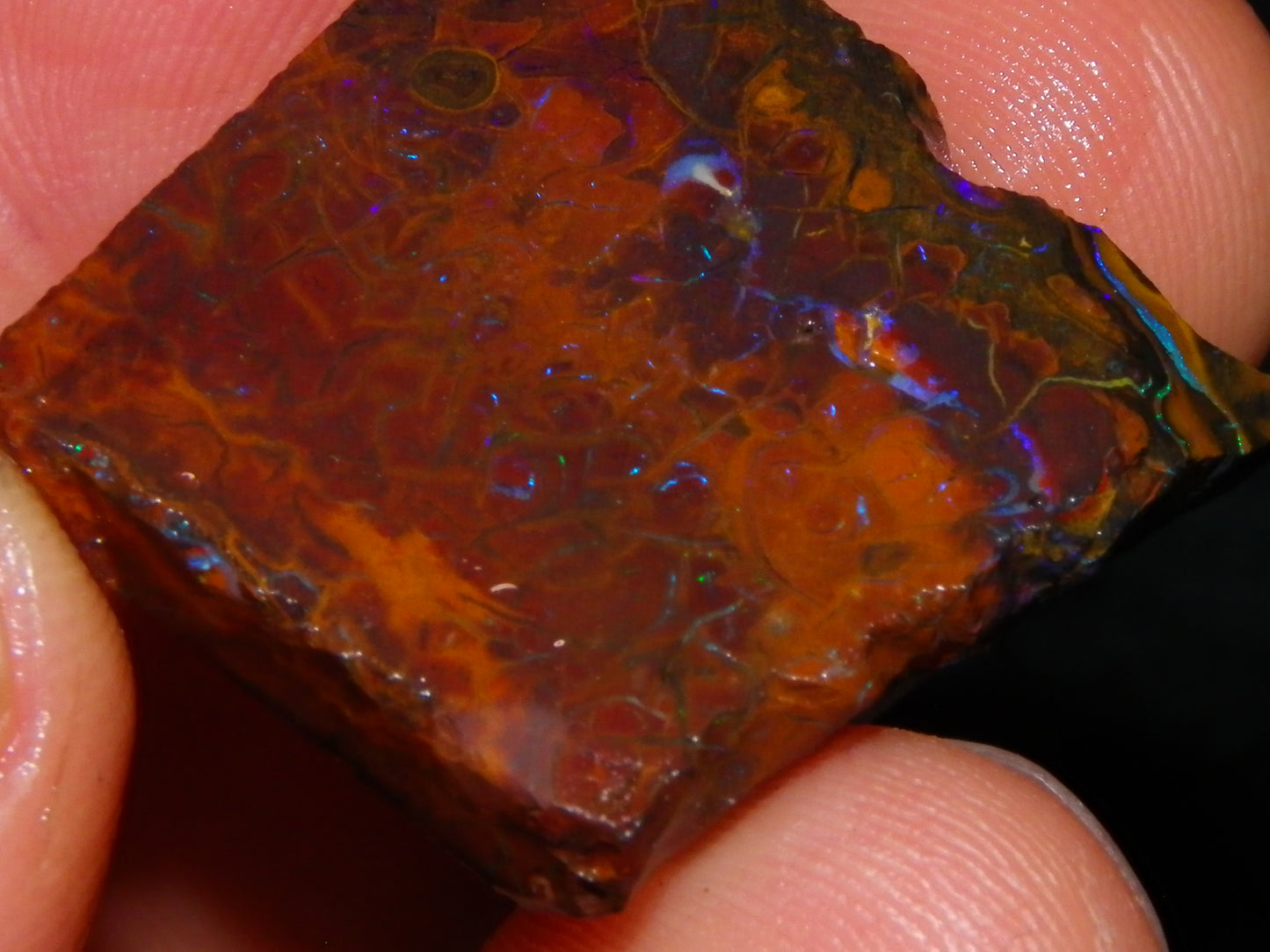 Nice Rough/Sliced Boulder/Matrix Opal Parcel 587cts Queensland Australia Patterns/Fires