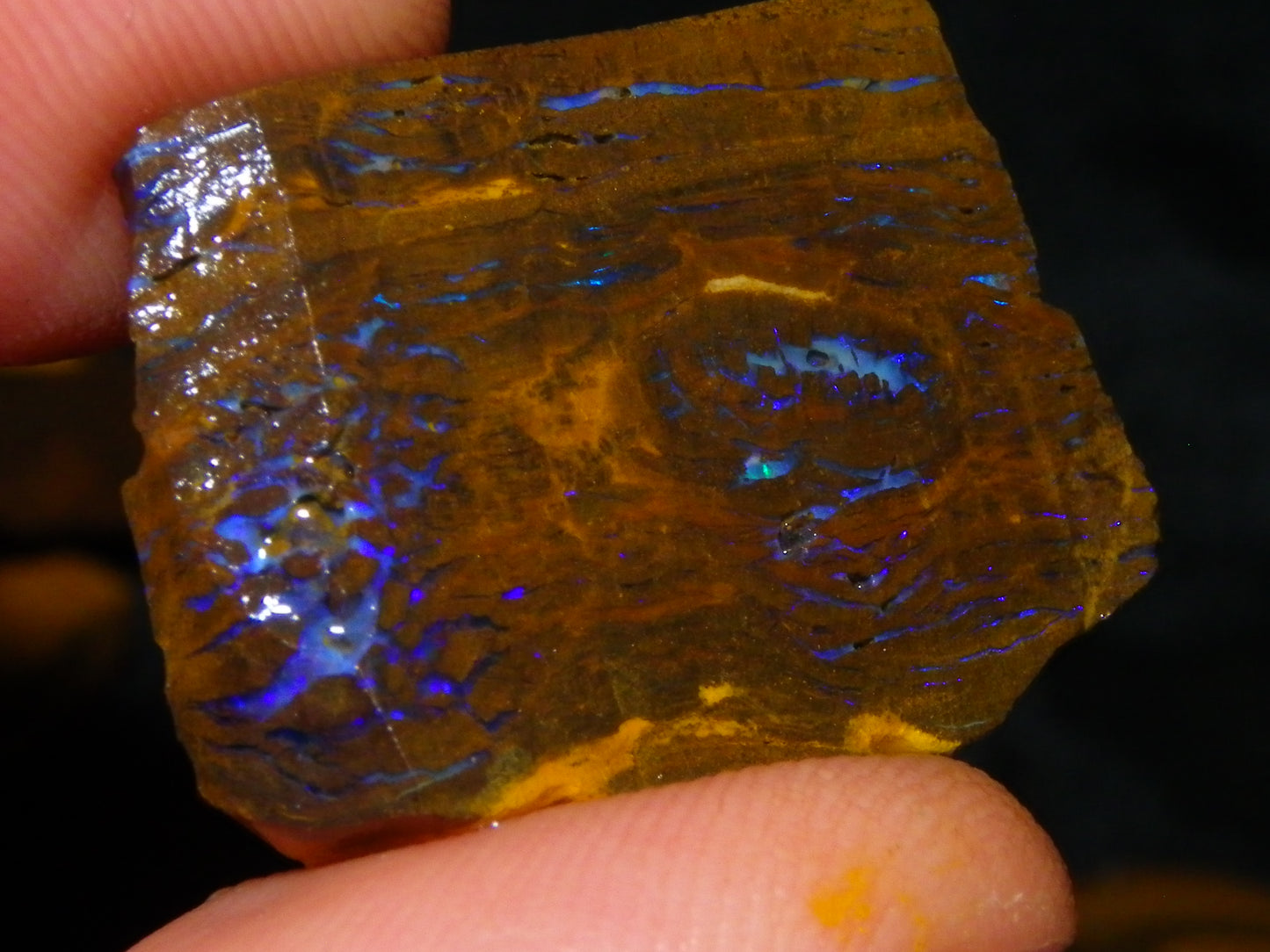 Nice Rough/Sliced Boulder/Matrix Opal Parcel 587cts Queensland Australia Patterns/Fires