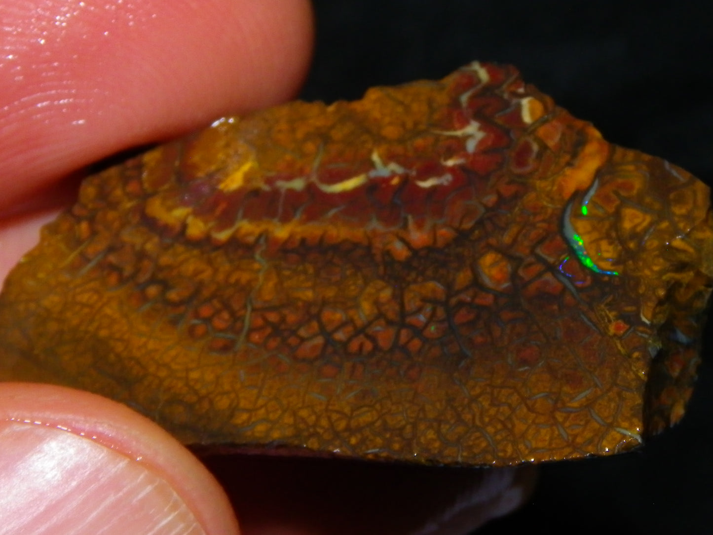 Nice Rough/Sliced Boulder/Matrix Opal Parcel 587cts Queensland Australia Patterns/Fires